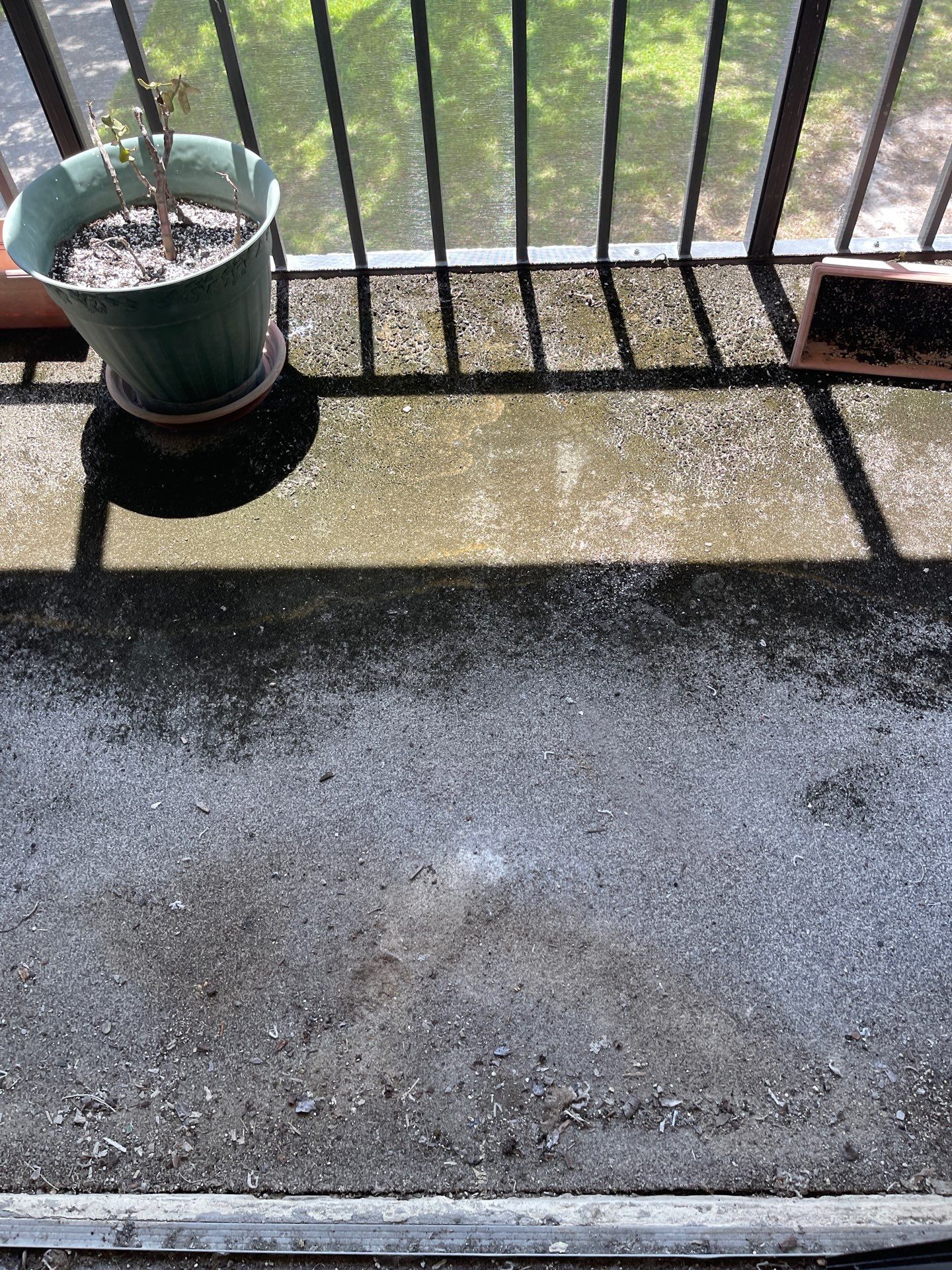 Horder house with Mold and Bacterial Contamination Issues  by Bay Coast Restoration 
