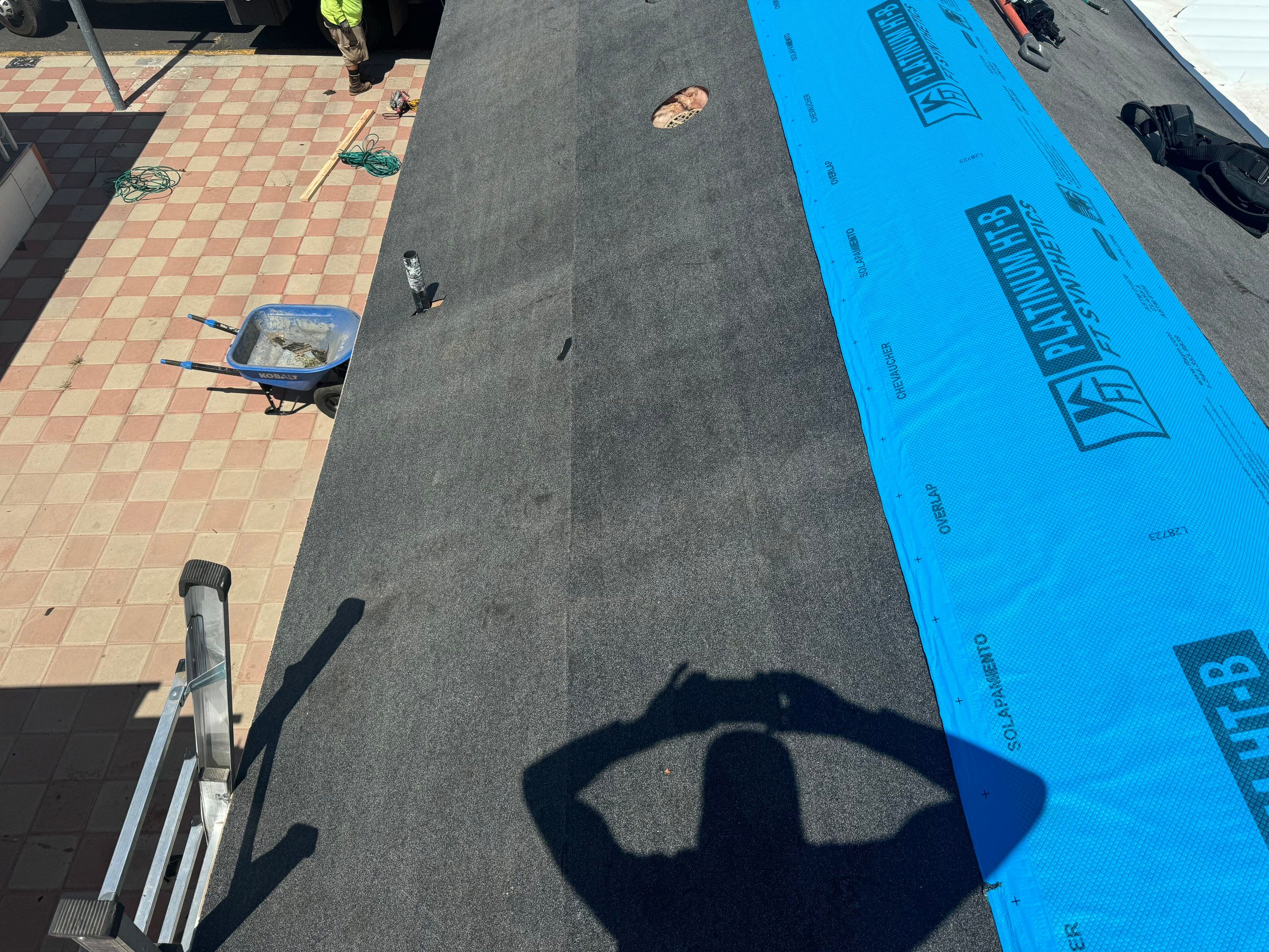 Silver Birch Shingles by Reimagine Roofing