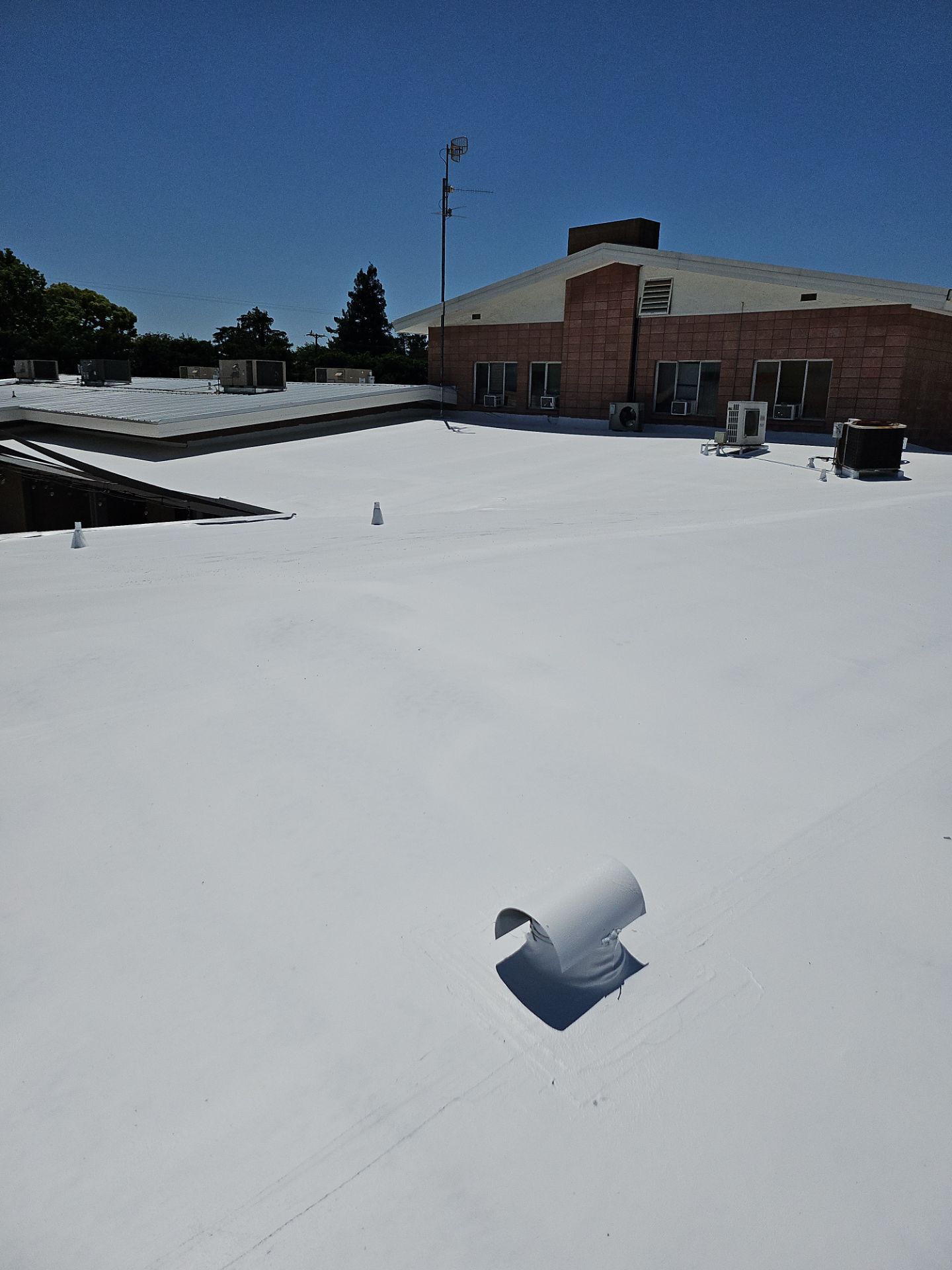Single-ply restoration system using Benchmark/PUMA XL coatings over TPO single-ply roofing by Straight Edge Roofing Inc