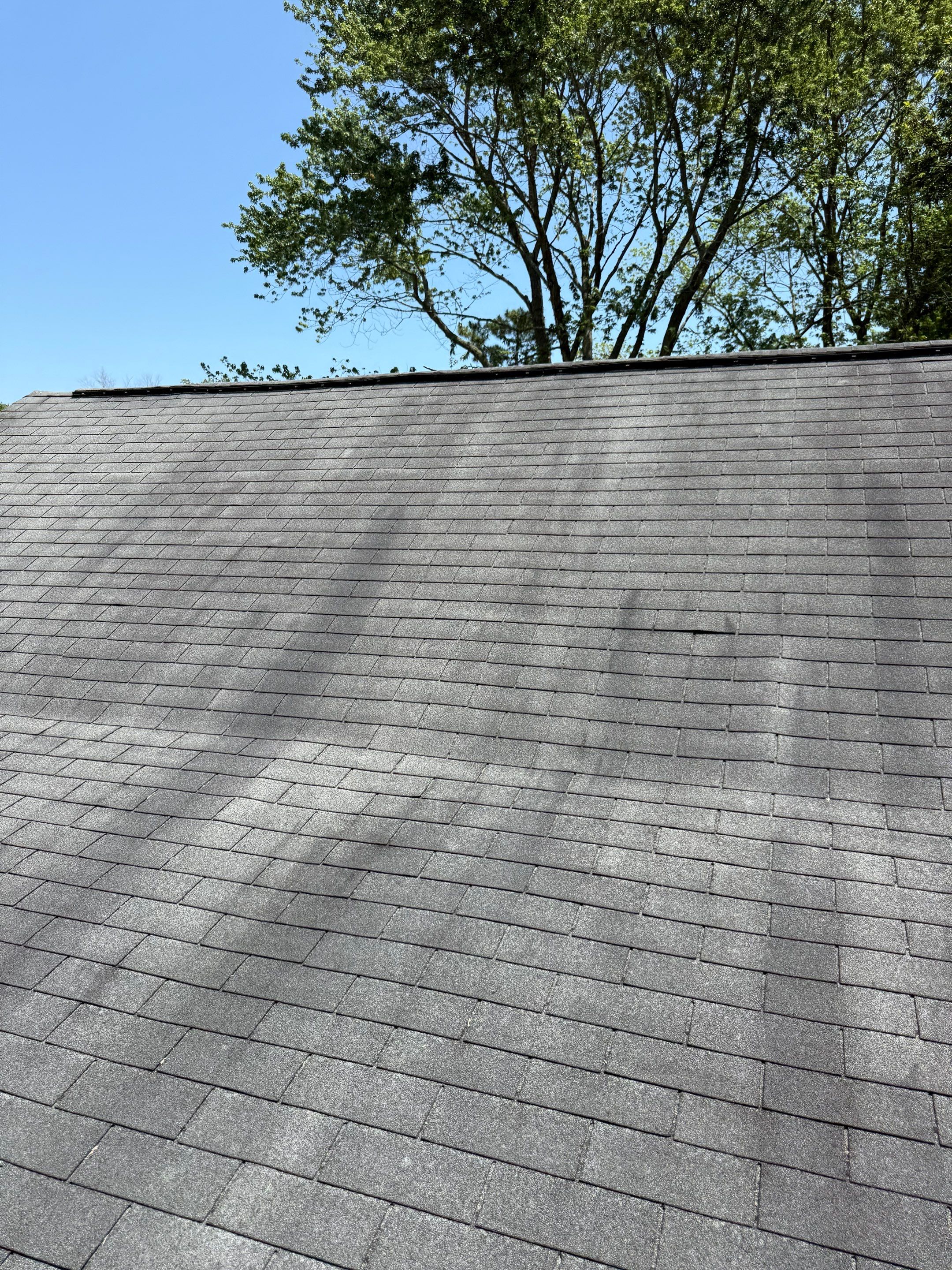 Re-Roof in Ocean View by Potomac Custom Remodeling 