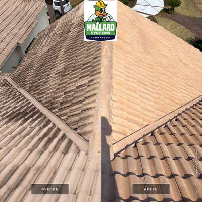 Barrel Tile Roof Cleaning