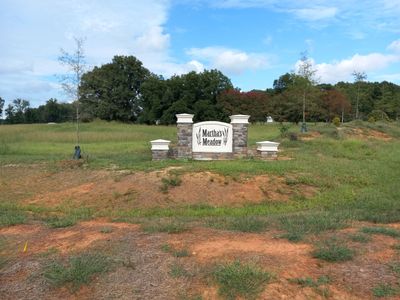 Martha's Meadow