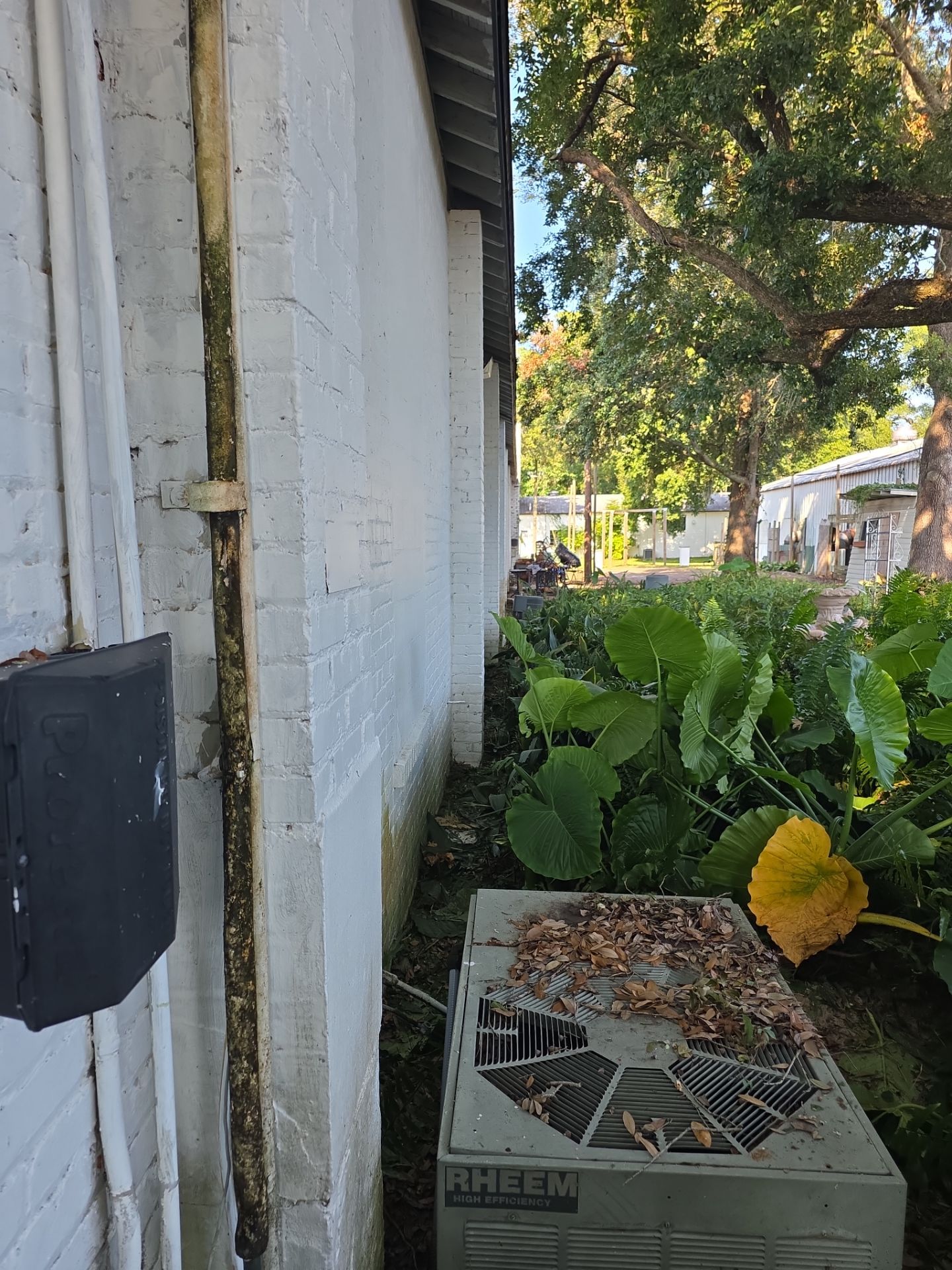 Commercial Property | Clean Up & Tree Removal by ProGreen Services
