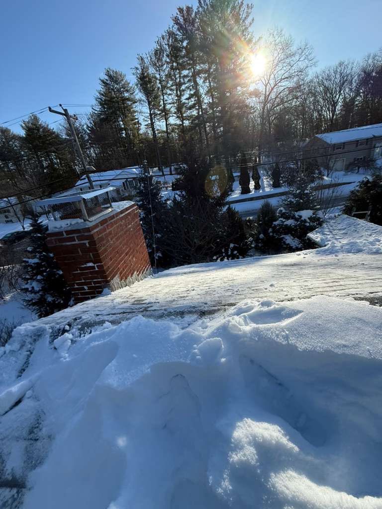 Sow Removal by Mighty Dog Roofing of Greater Middlesex County