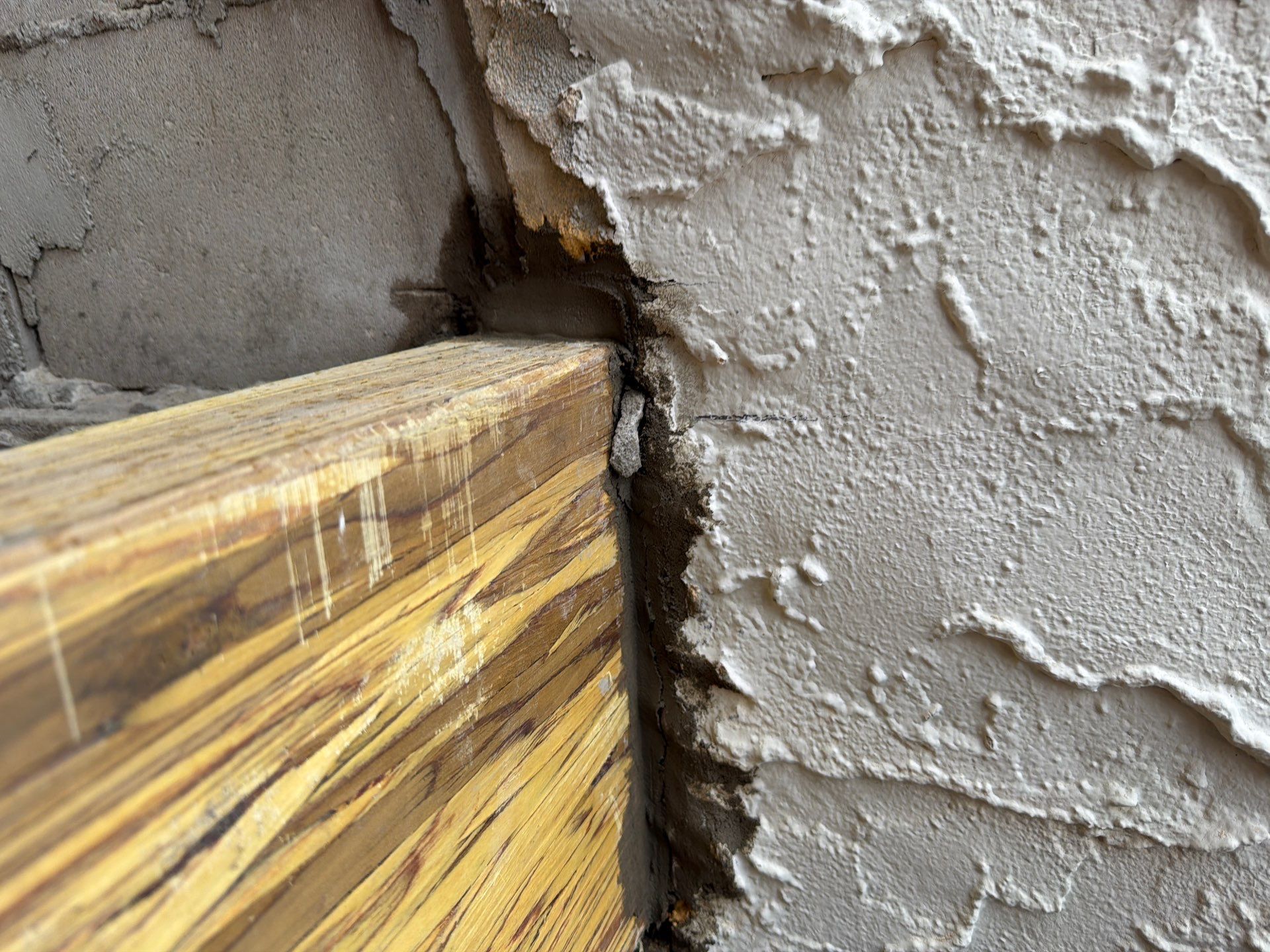 Multi-Level Balcony Reconstruction and Structural Wood Rot Repair in Sea Bright by REVIXPRO