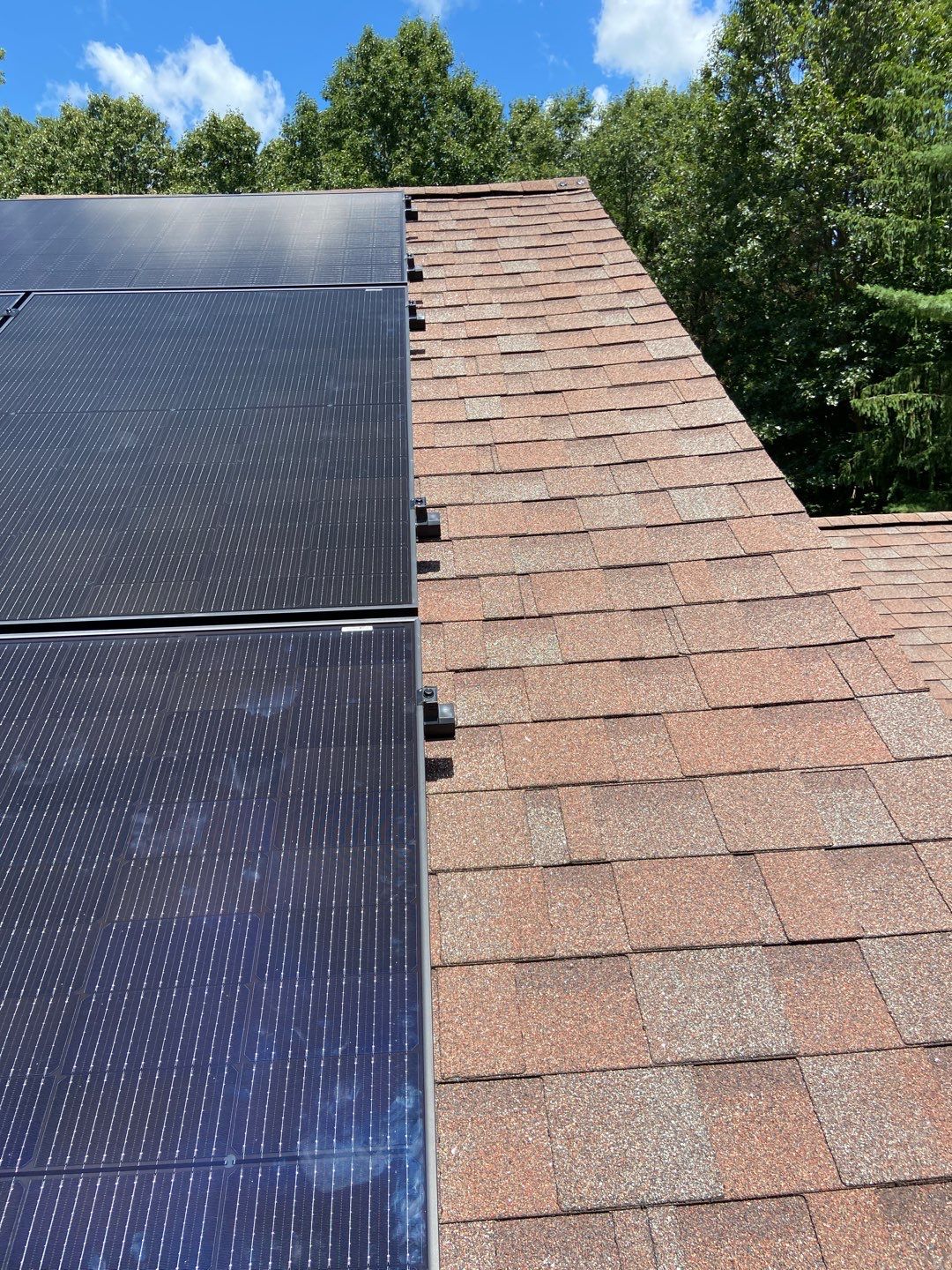 Solar Panel Installation and Tree Removal by Infinity Solar Systems