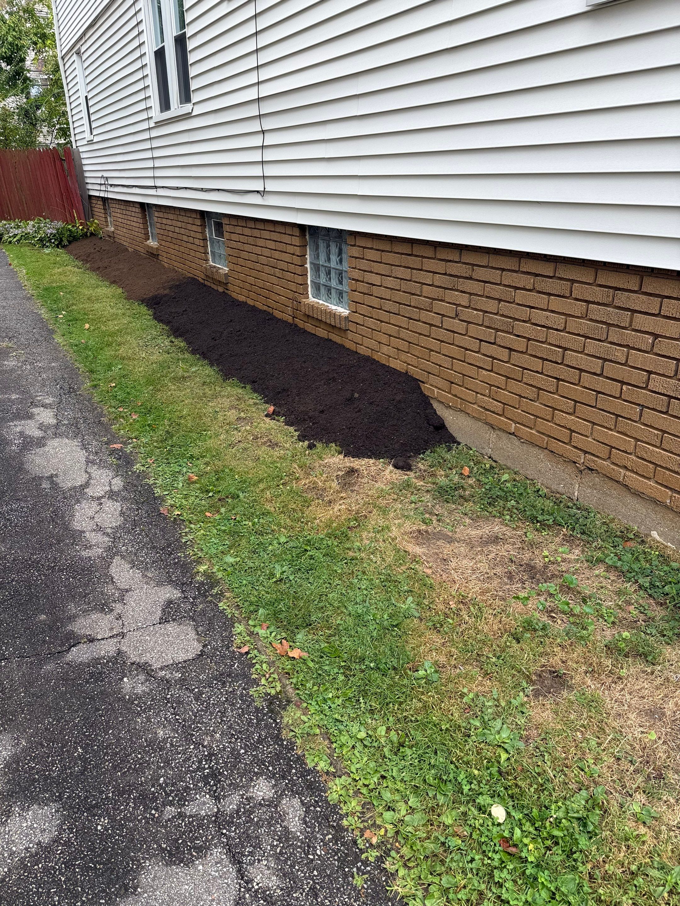 Shade Lawn Repair by Elm Rose Gardens