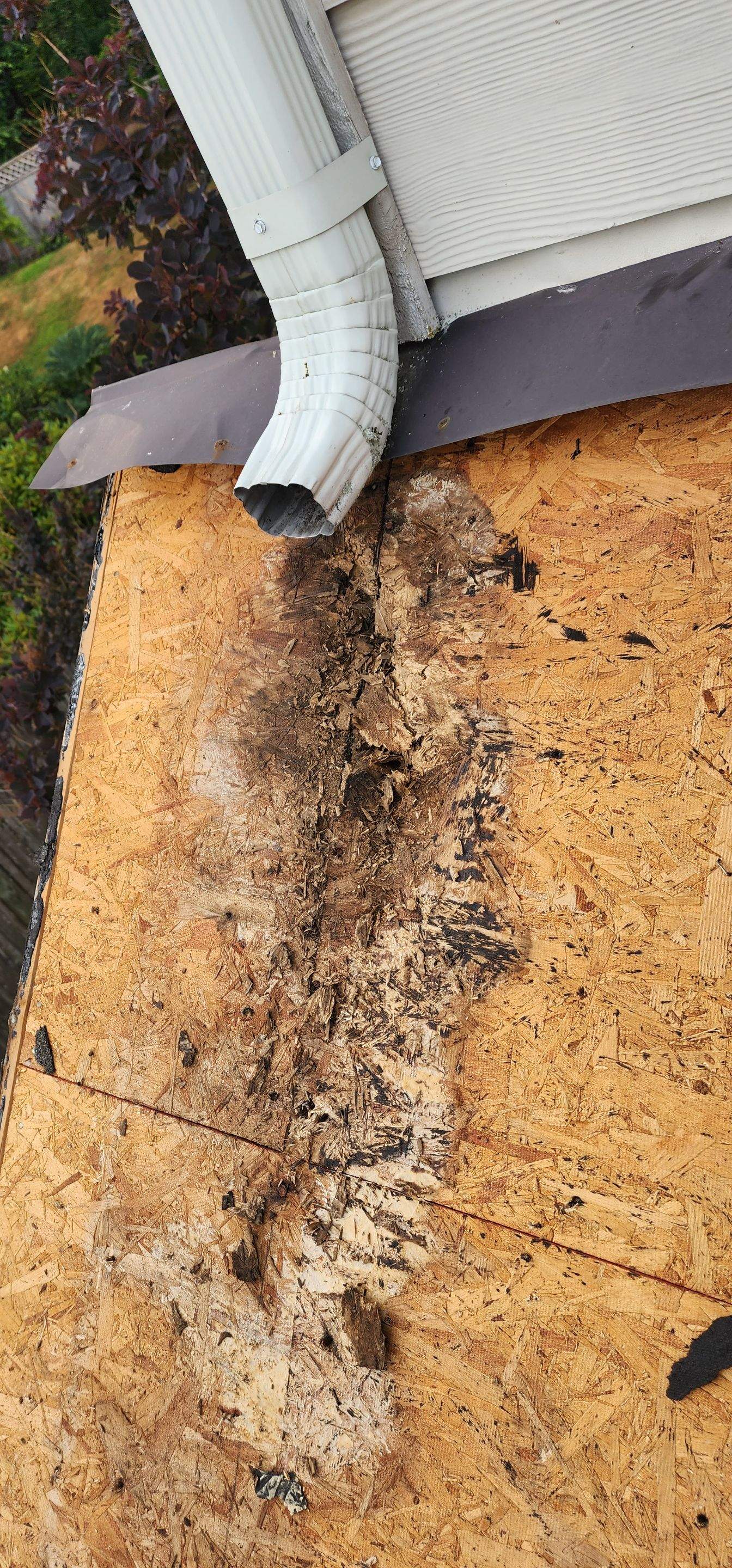 Miss you Gus! by RoofWorks Northwest