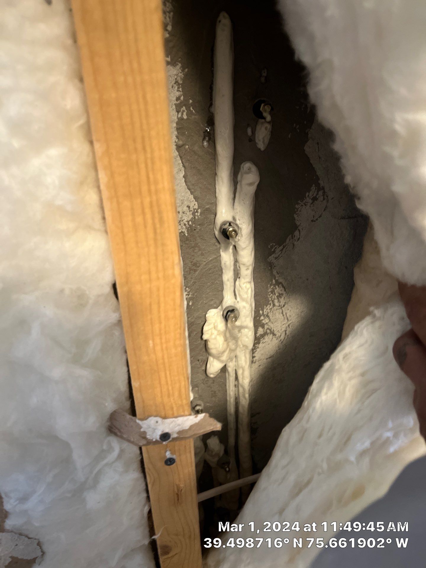 Water Damage Inspection & Basement Dryout – Middletown, DE by Healthy Home Solutions