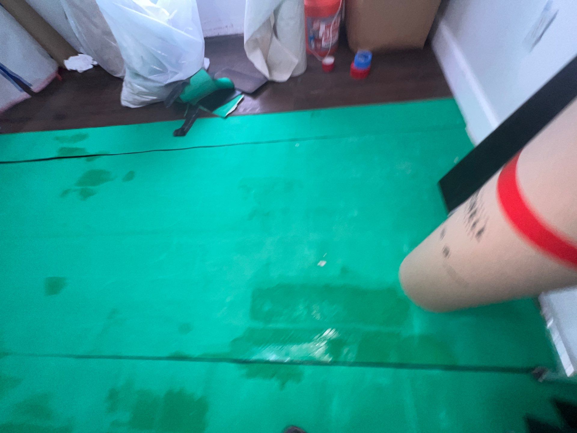 Stansell - water and mold photos  by THE RAPID TEAM