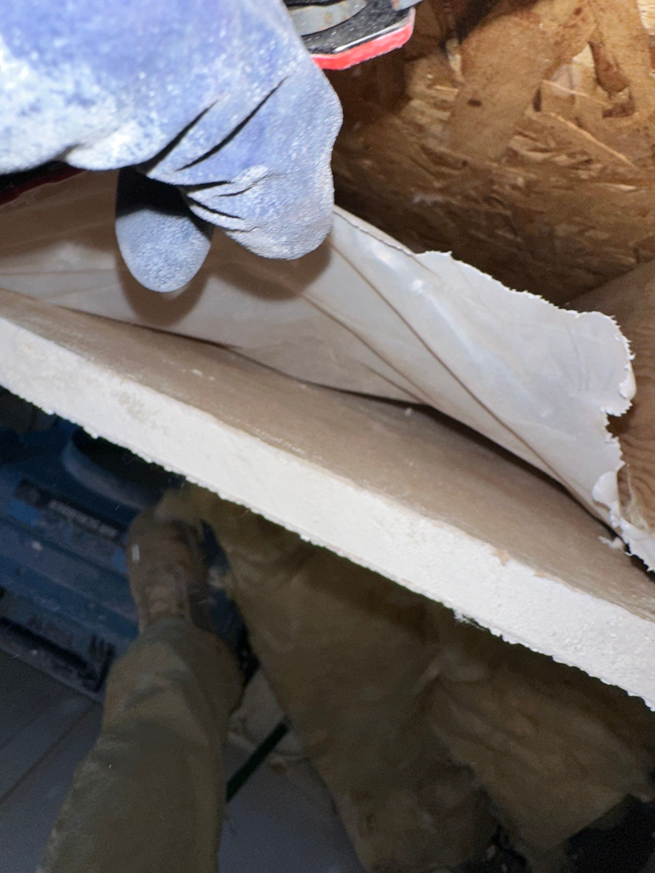 Water Damage in Denver, CO by Alpha Restoration 