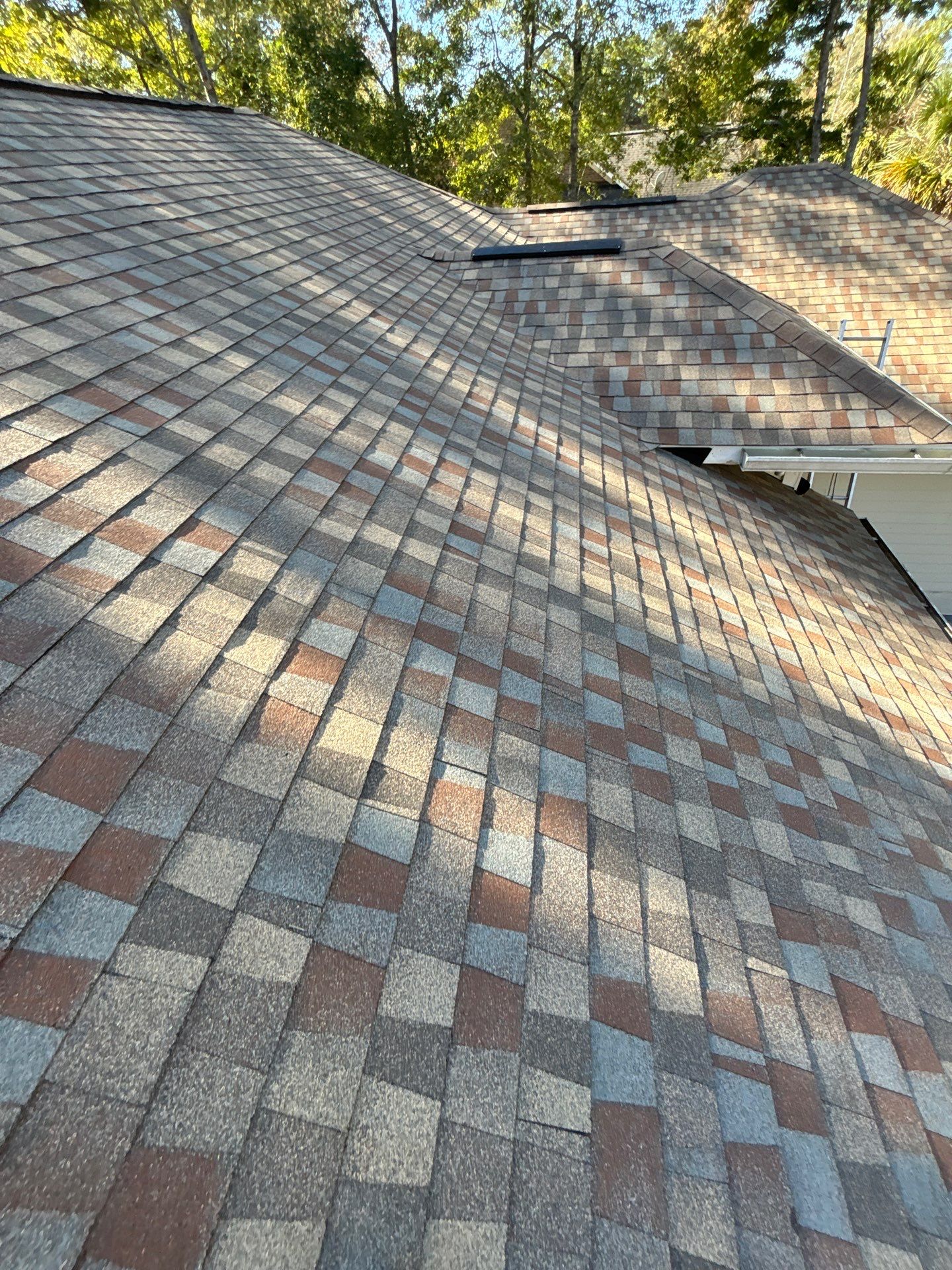 GAF HDZ - Golden Harvest by Linta Roofing