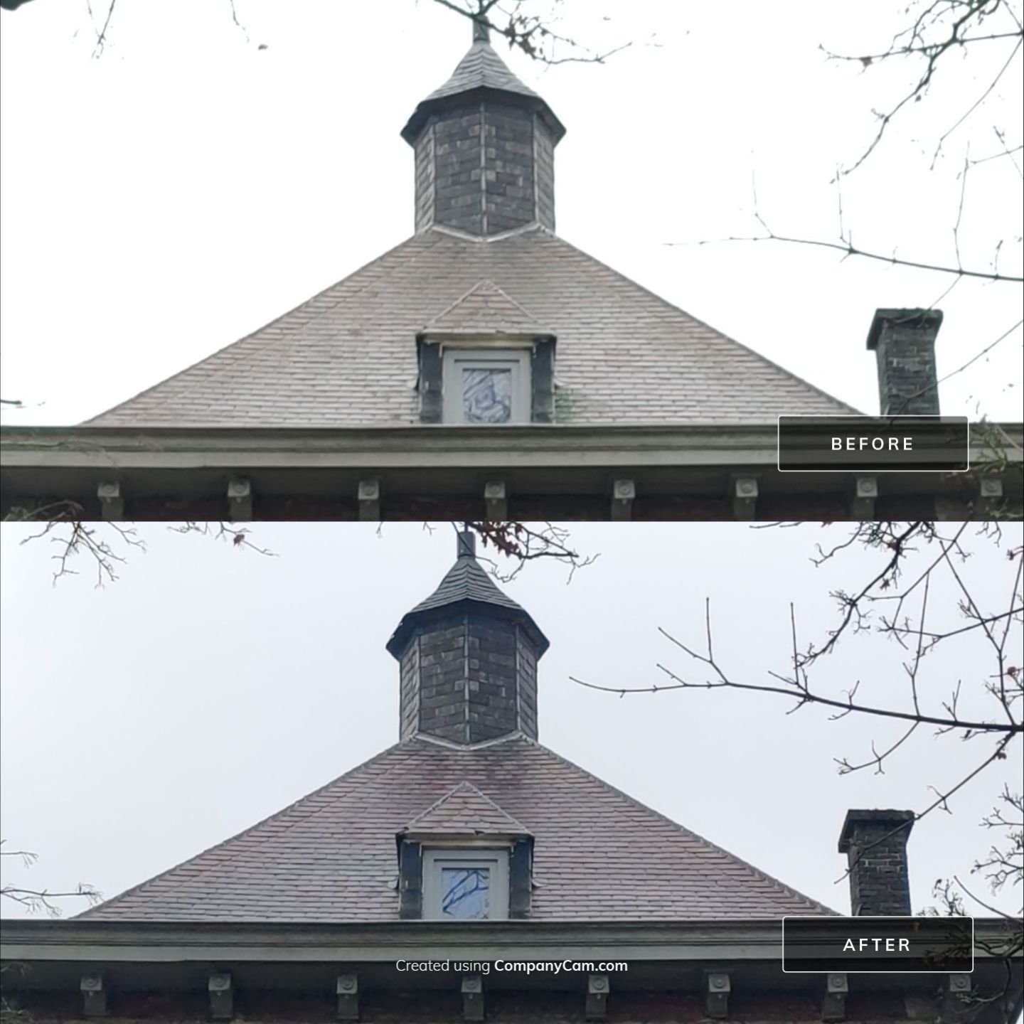 Kasteel Arendsnest - Edegem by 2blox Srl