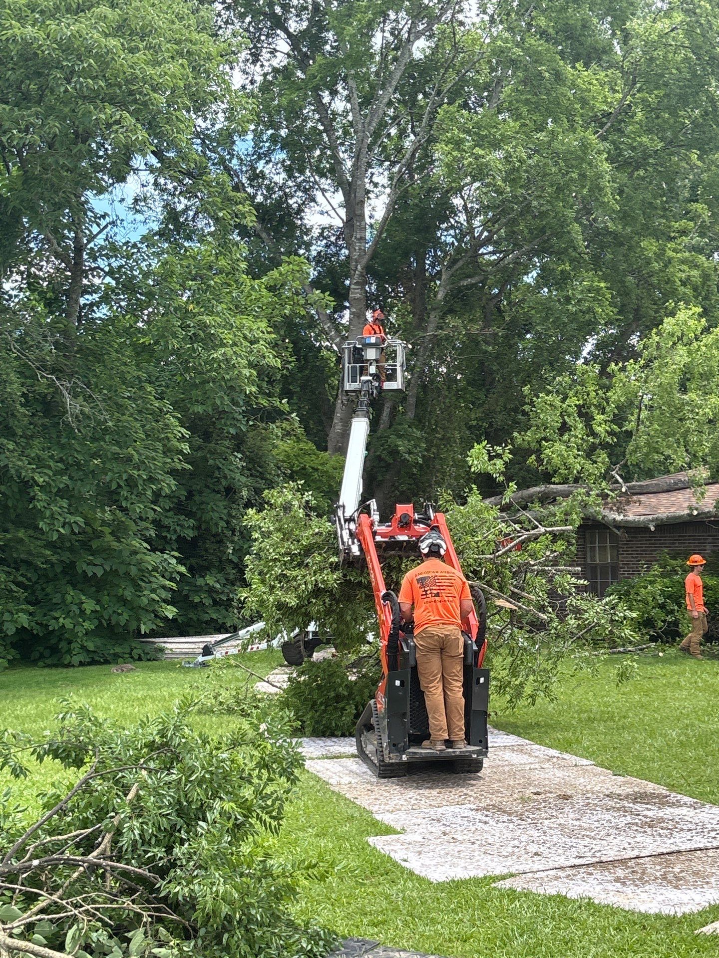 Crane-Assisted Emergency Removal by American Arbor