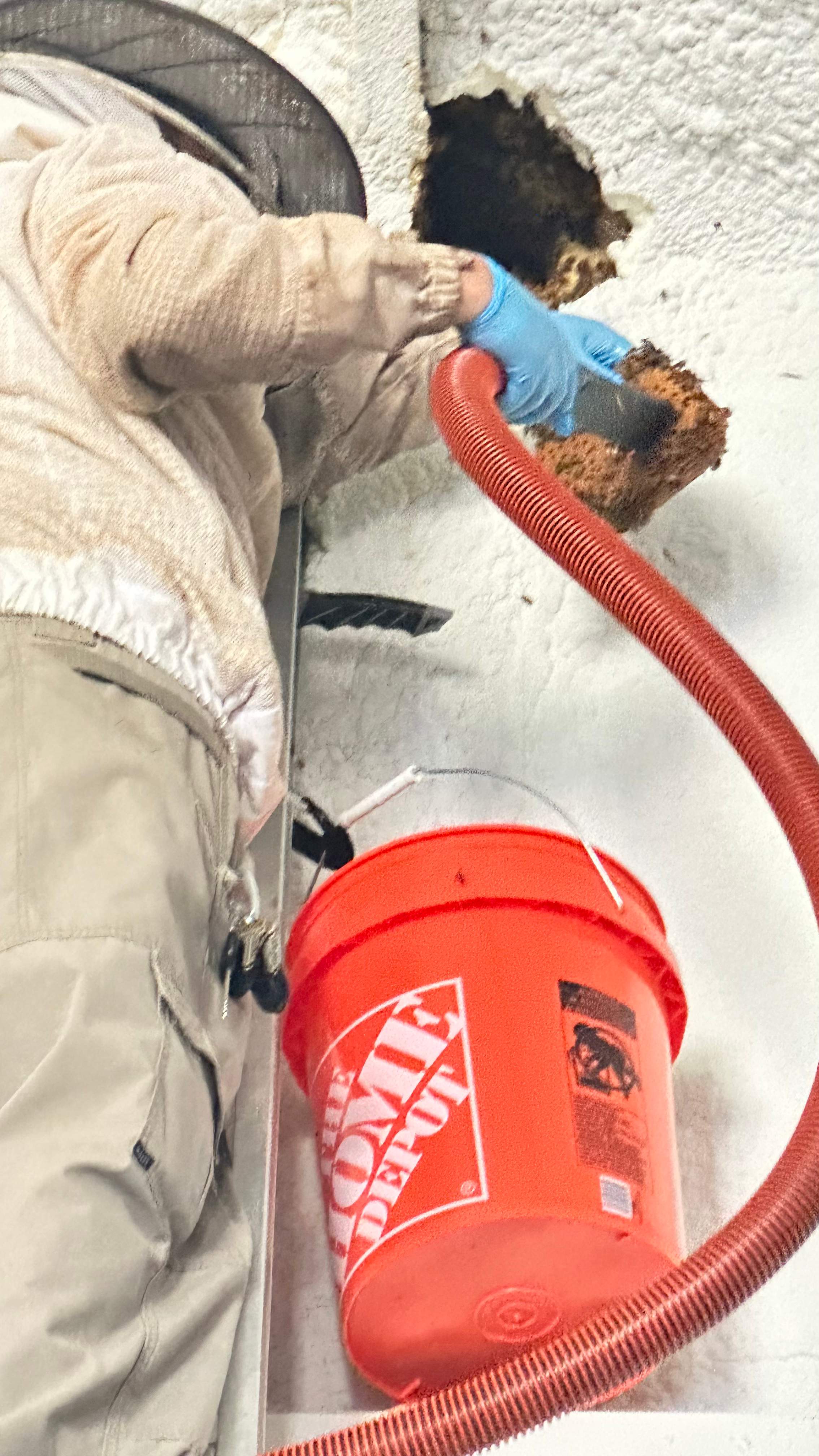 Art Gallery by Rockwall Honey Bee Company