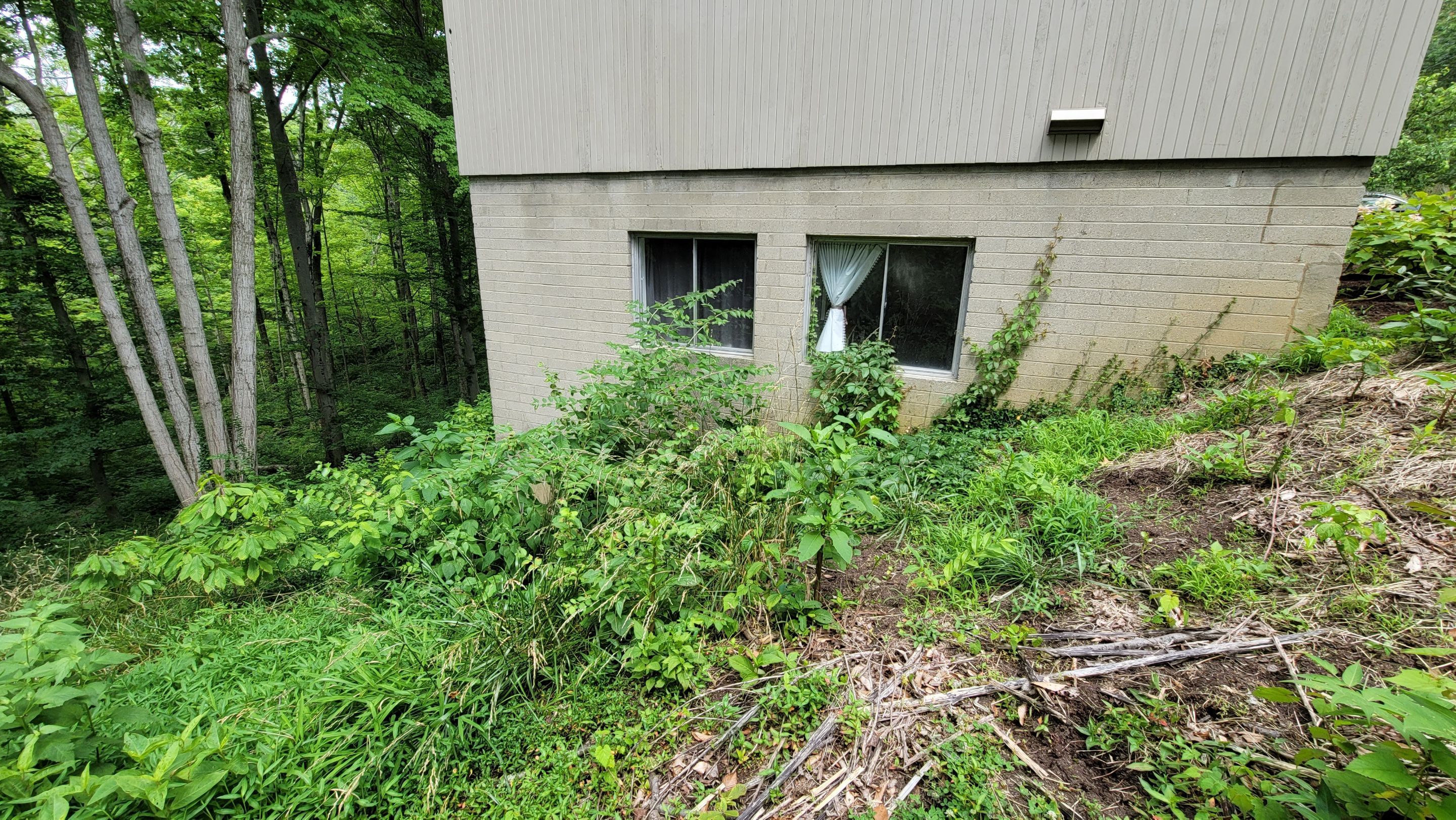 Land Clearing Behind House and Deck by Reisenberg’s Lawn & Landscape, LLC