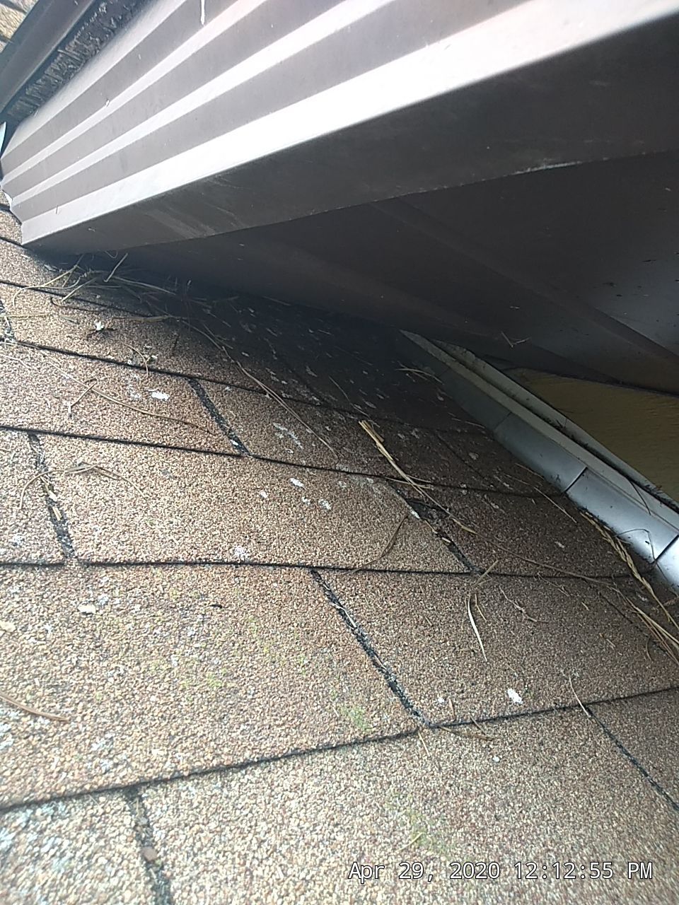 Mercedes McAllister by Silver Leaf Contracting 