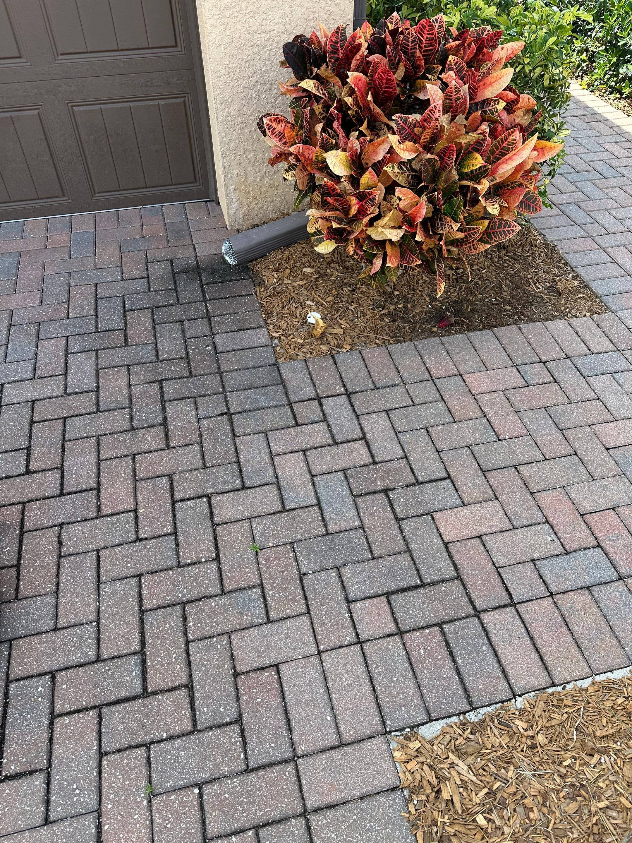 HOA Paver Driveway & Sidewalk Cleaning in Sarasota National, Venice, FL | Sunshine AquaWash by Sunshine AquaWash