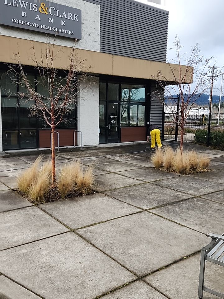 Soft Wash using Soft wash solution by Willamette Outdoor Wash LLC