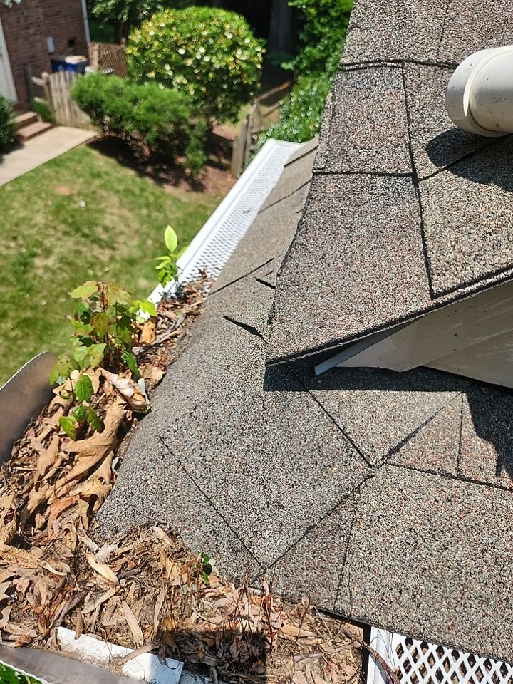 House Wash using cleaner by Power Wash Masters LLC