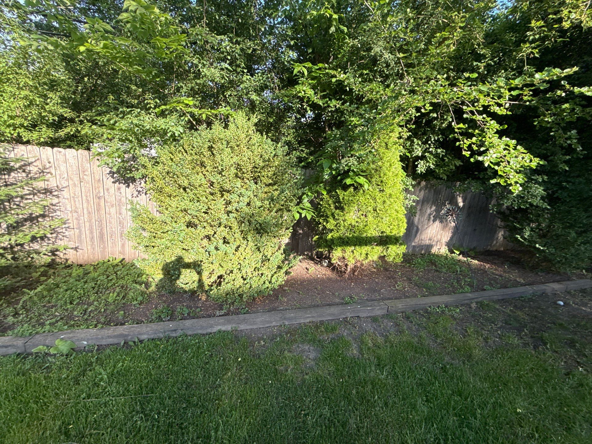 Bryan, F. - Arlington Heights, IL  by A&N 