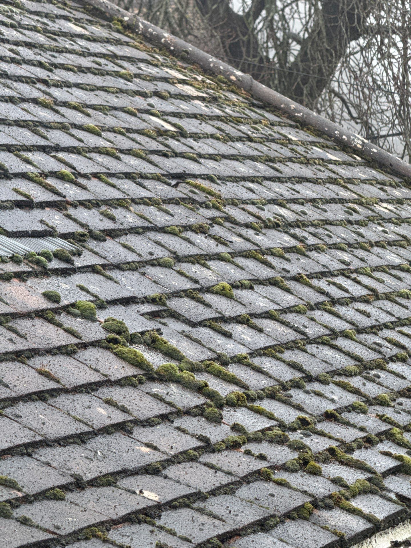 Commercial Roof Clean -Block Of Flats using Honda 15lpm Low Pressure Washing Machine by Ges Exterior Cleaning ltd