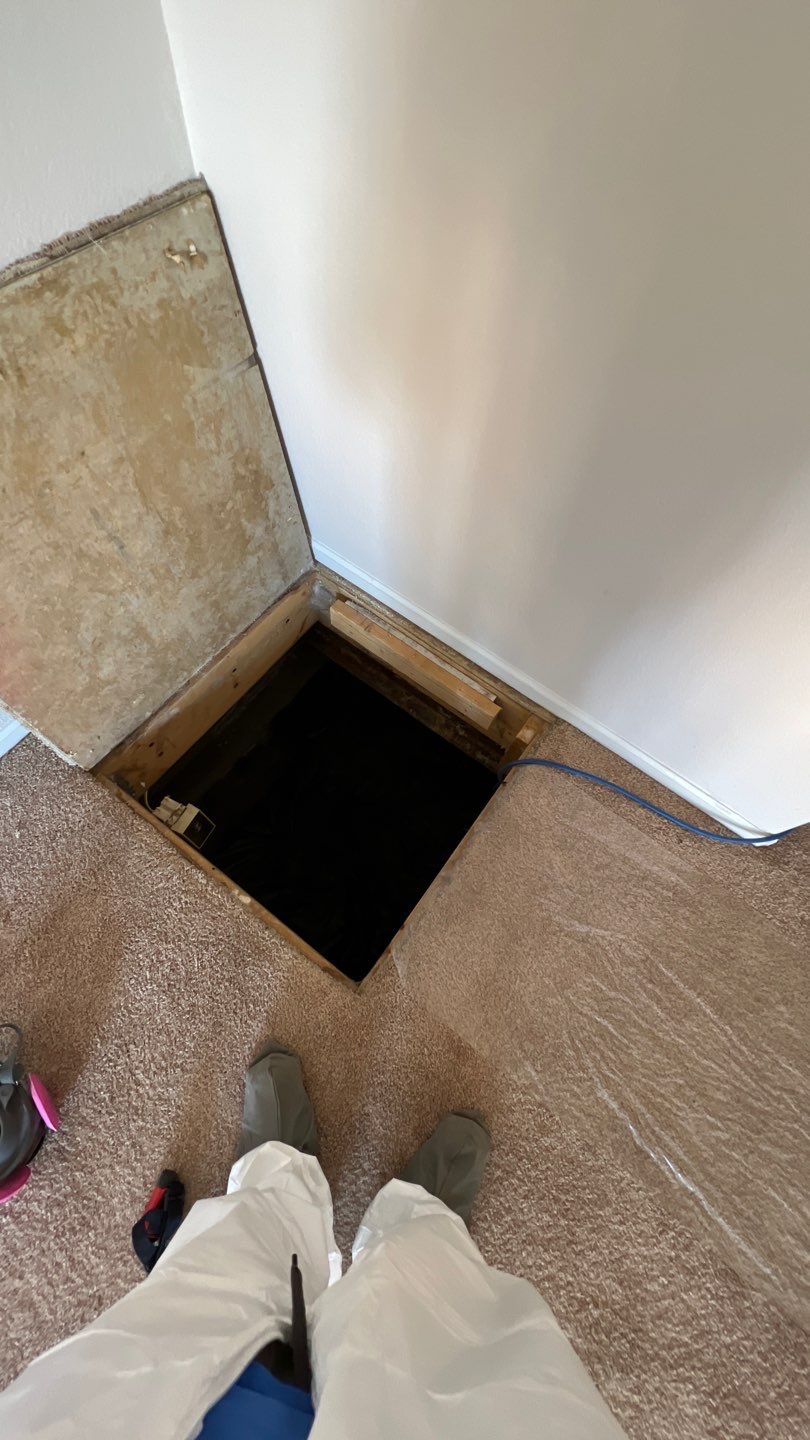 Mold Damage by Accountable Home Services