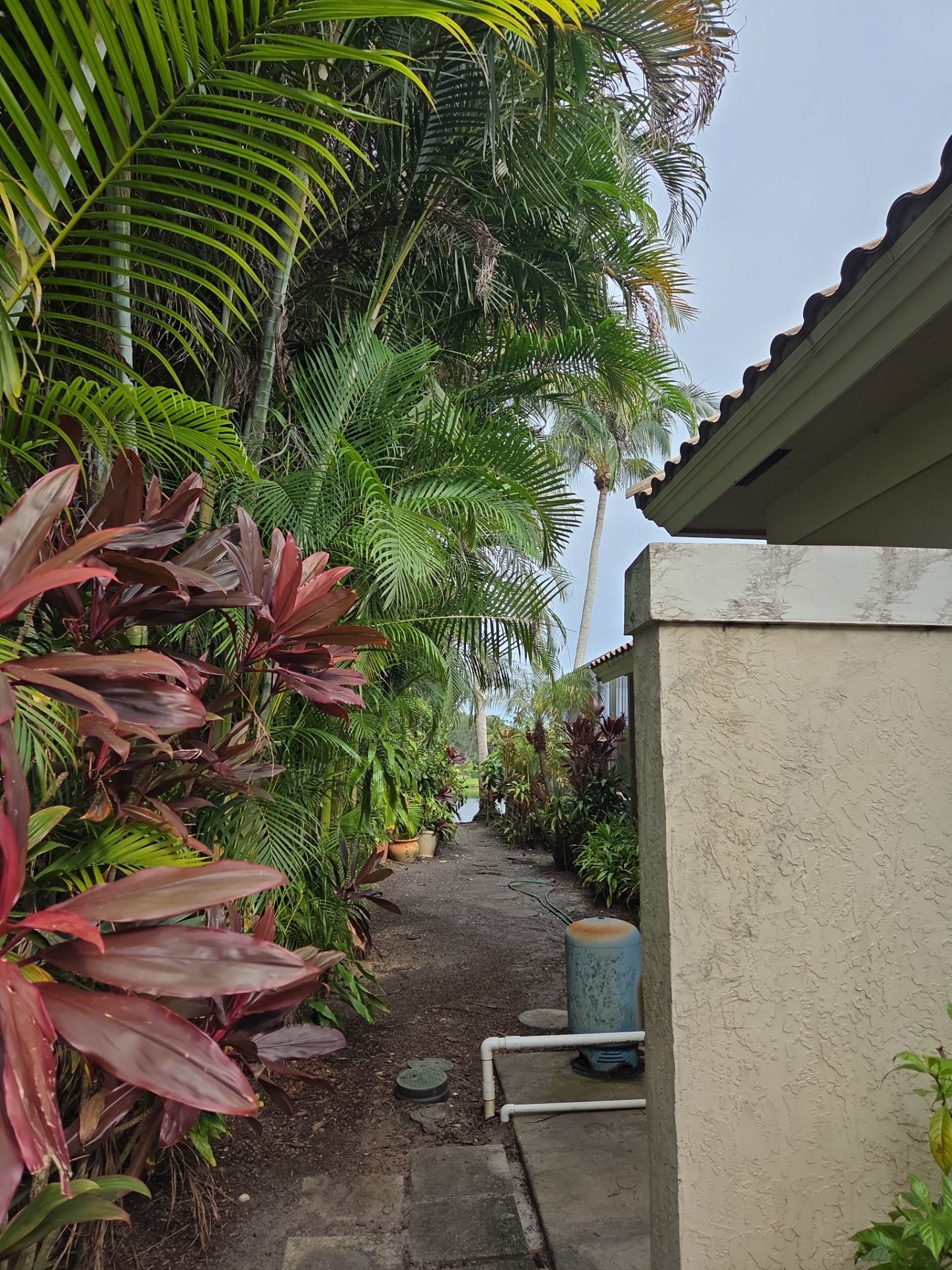 ✨ “Sweep, Spruce & Scoot!” ✨ by Alpha Zeta Enterprises Inc