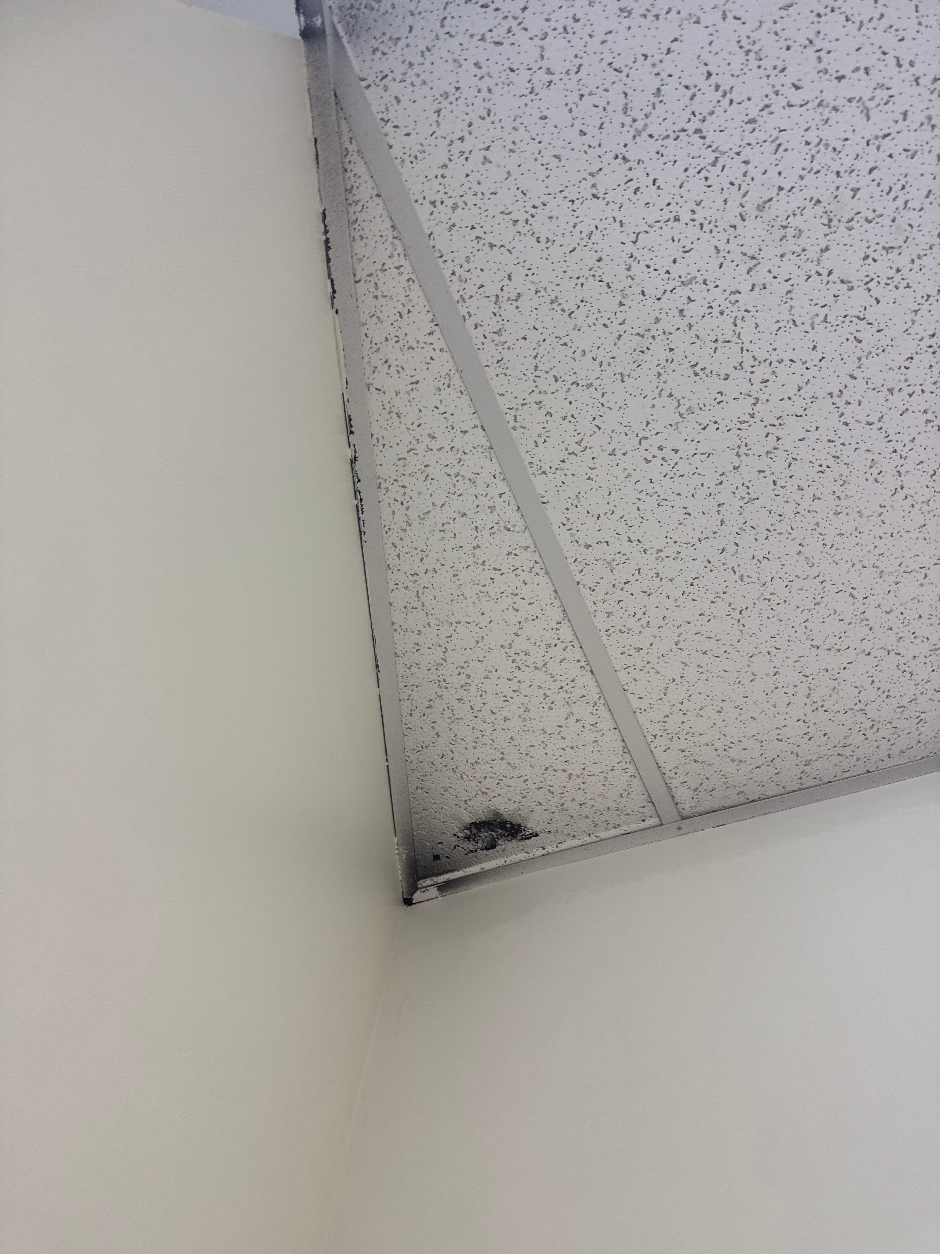 Repaint Walls in Commercial Unit by Midwest Paint LLC