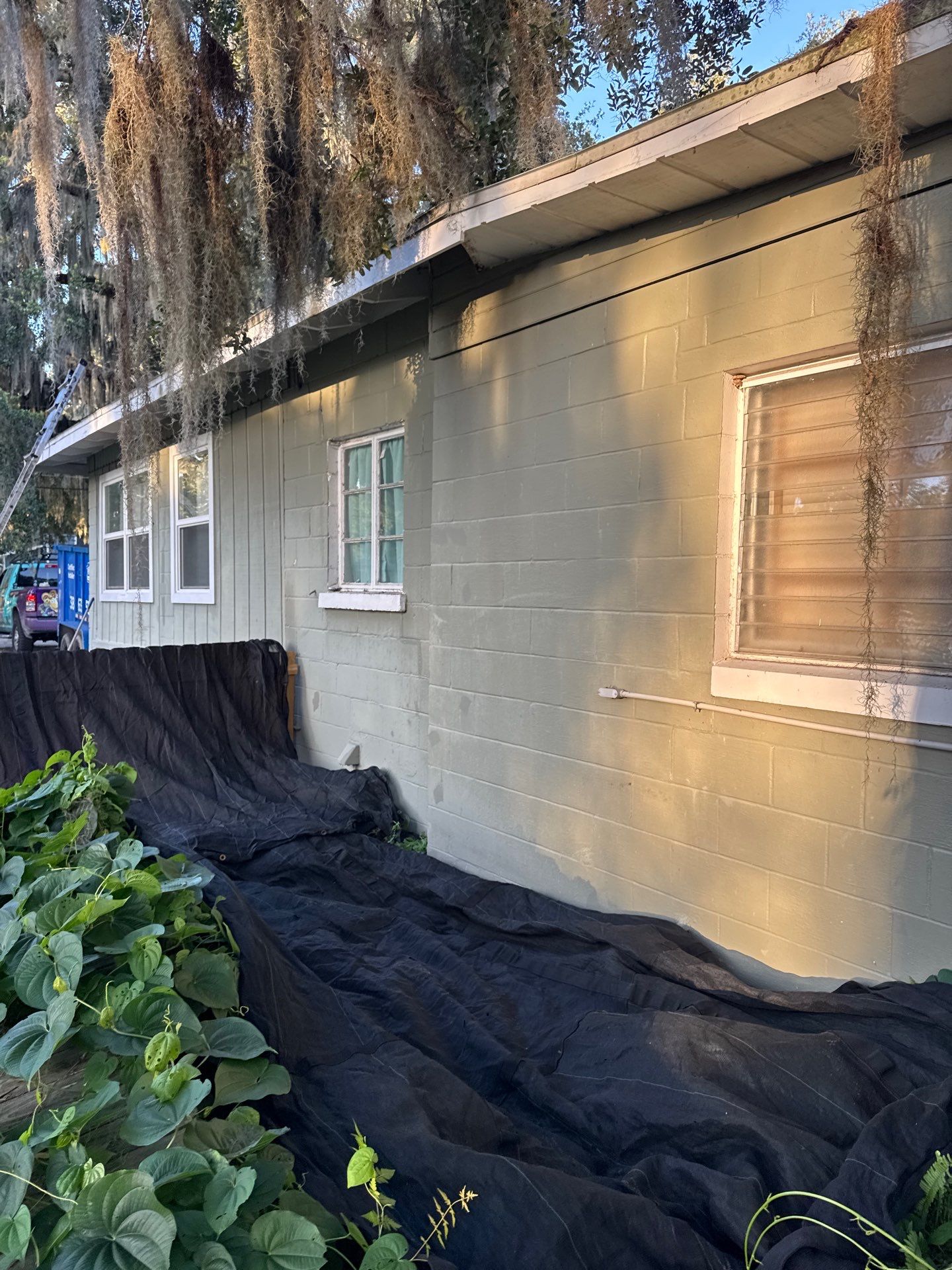 DeBary Residential Roof Replacement with Atlas Pinnacle Shingles and Wood Repair by Pinnacle Roofing Group