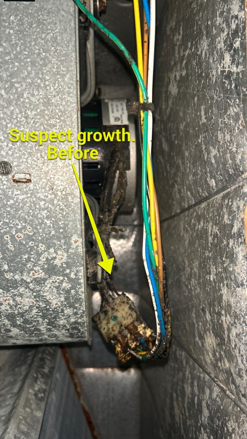 Air Duct Cleaning in Clermont by Hygienic Air, Inc