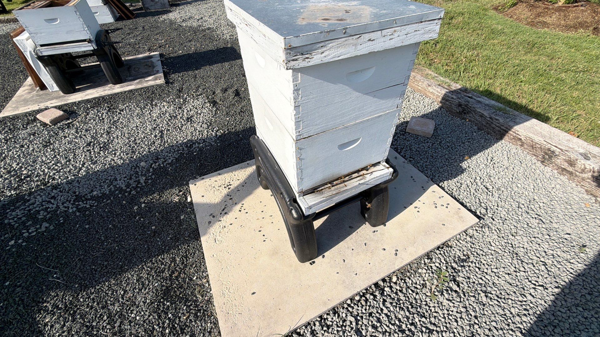 Momma K’s apiary by Rockwall Honey Bee Company