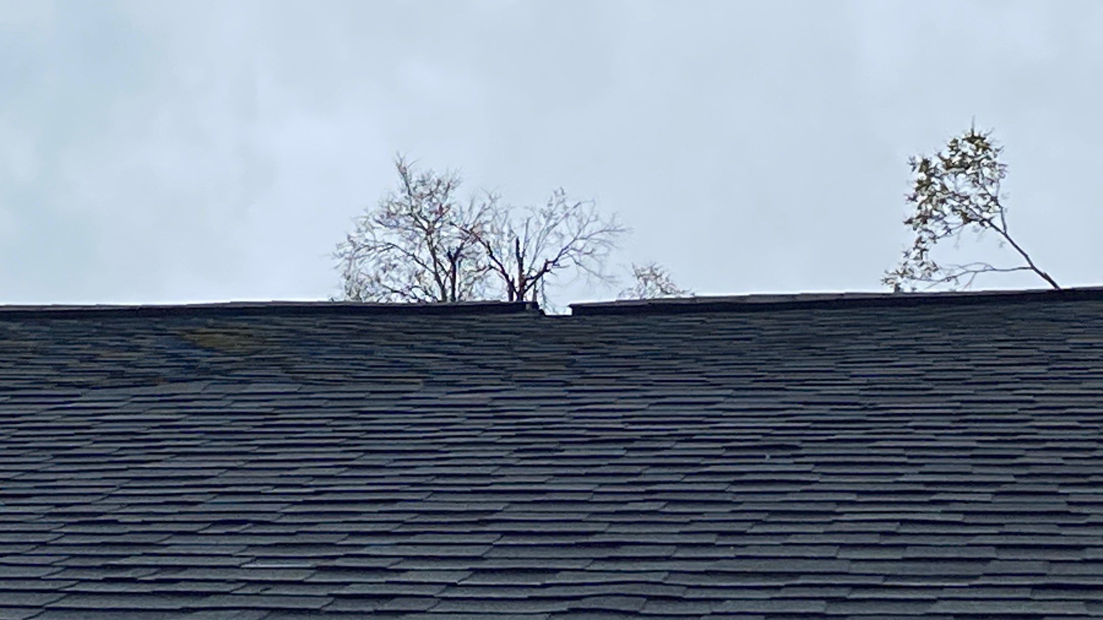 Roof Replacement using Owens Corning by 180 Contractors