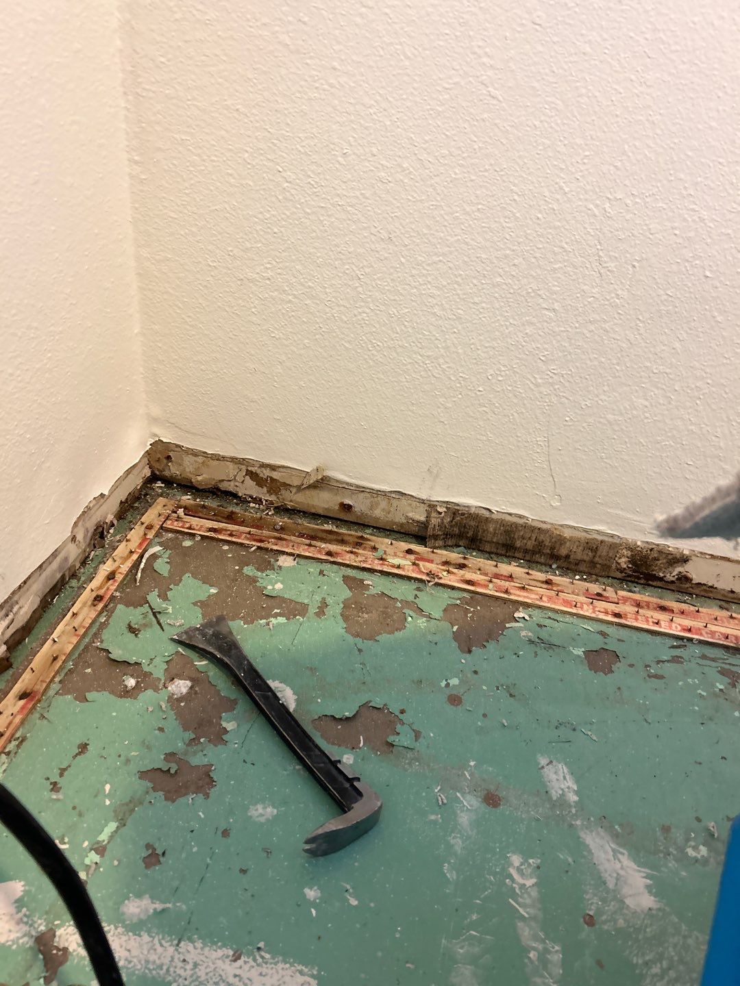Mold Remediation by Accountable Home Services