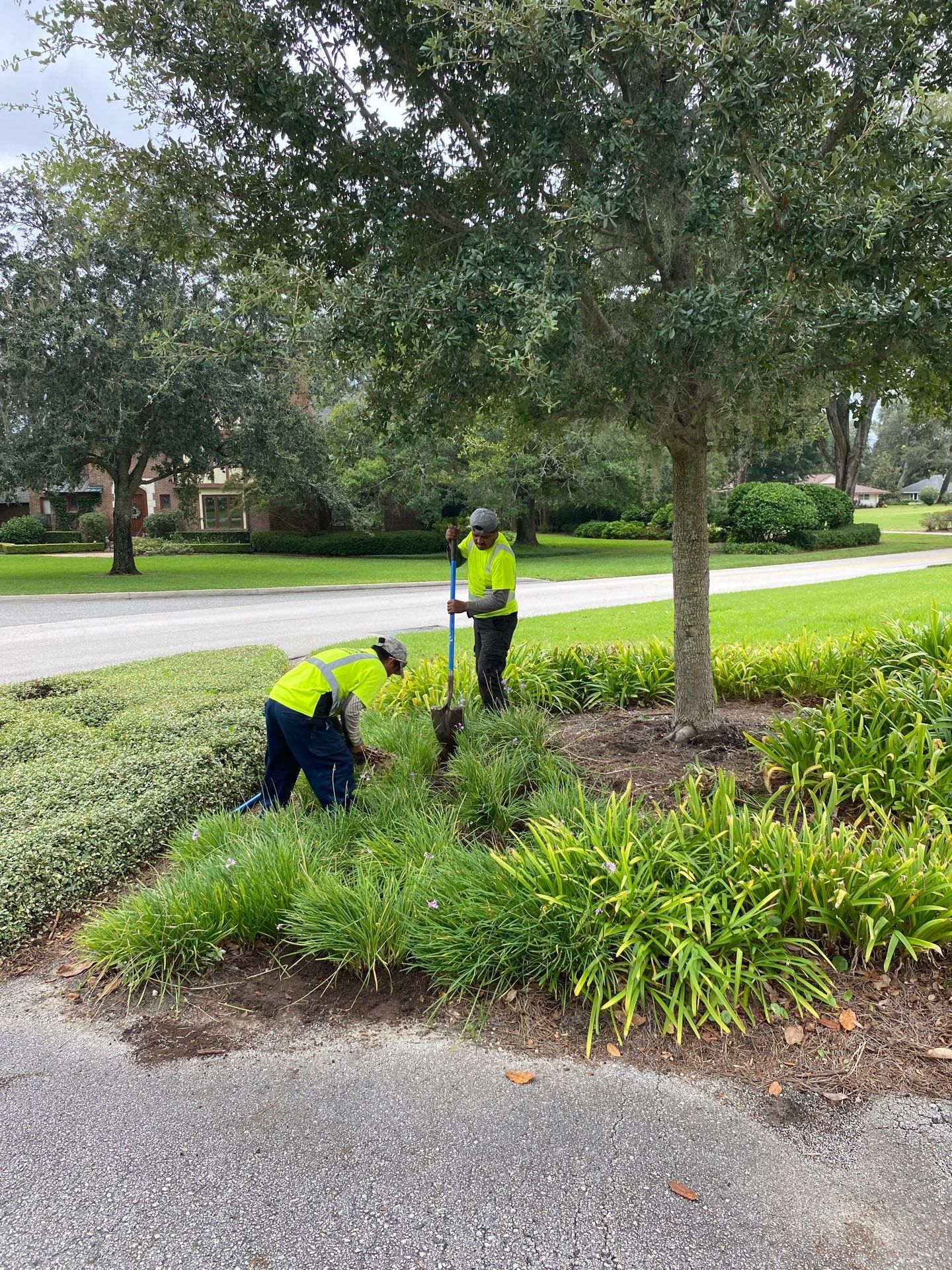 Deerwood Community | Island Landscape Replacement by ProGreen Services