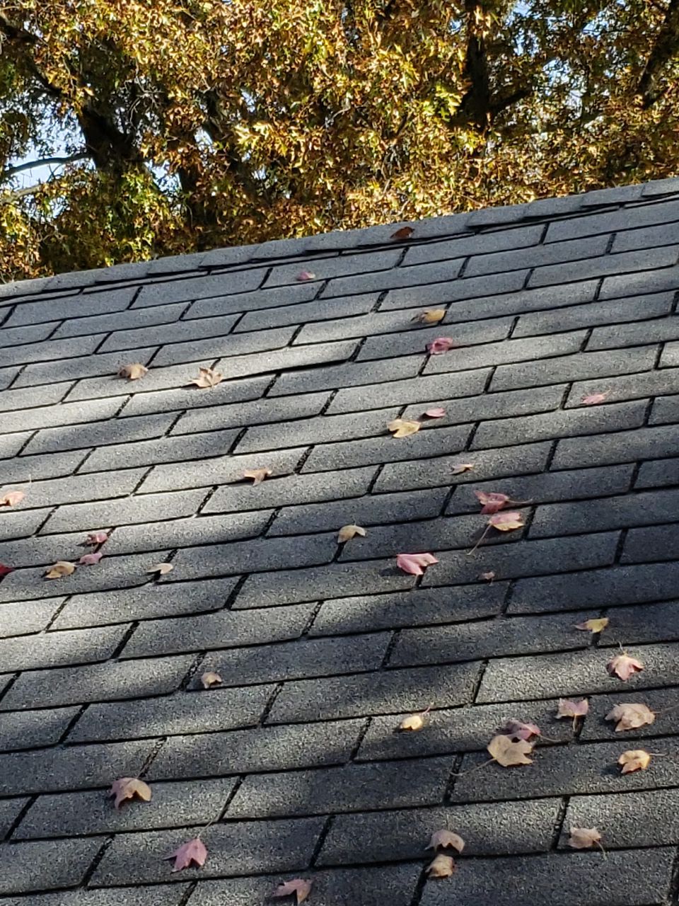 ATLAS PINNACLE SCOTCHGARD COLOR: PEWTER DRIP EDGE: BLACK by Eagle Eye Roofing