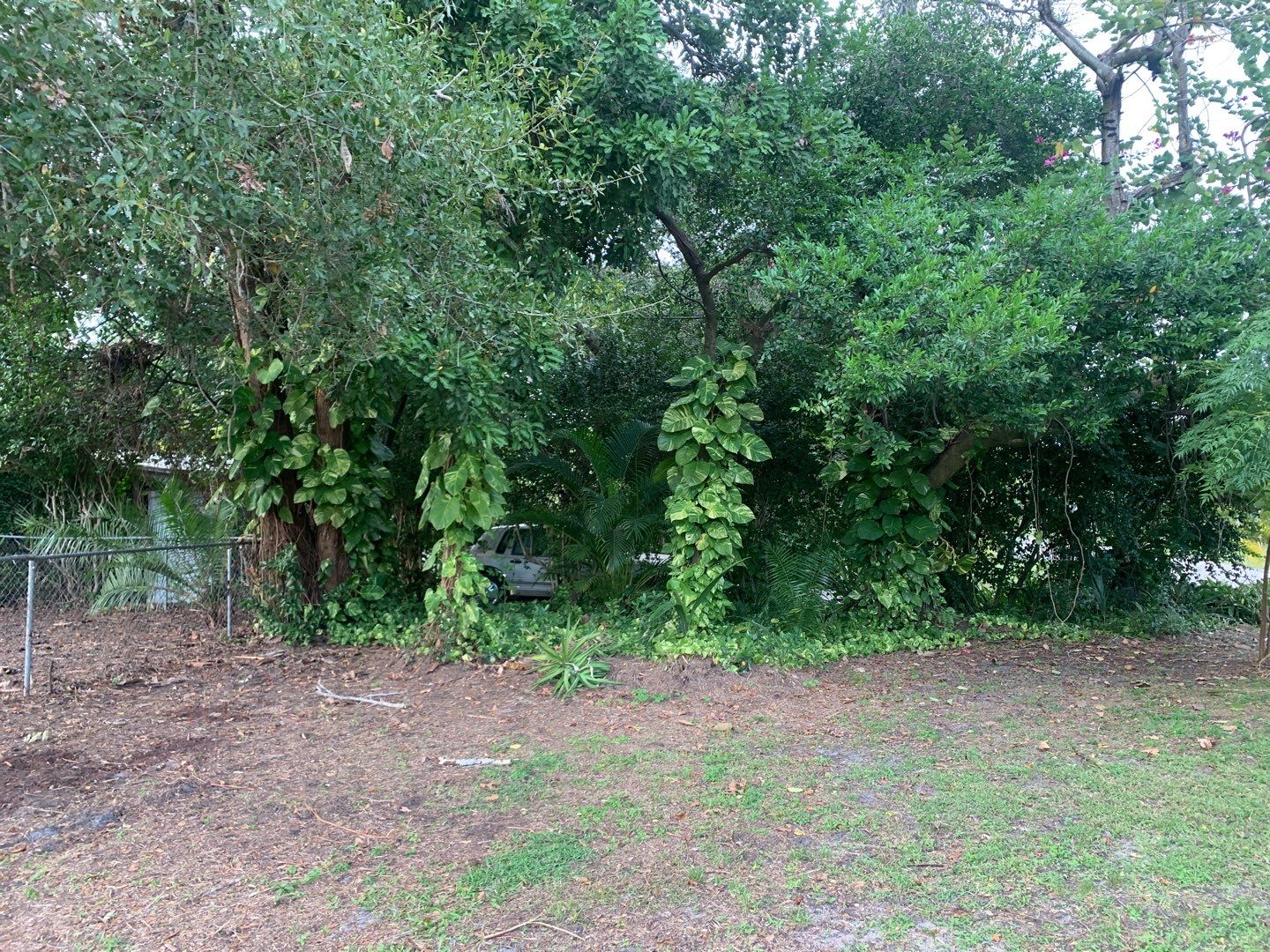 Bradenton, FL 4 ft. and 6 ft. Vinyl Privacy Fence by Asap fence and gates, LLC