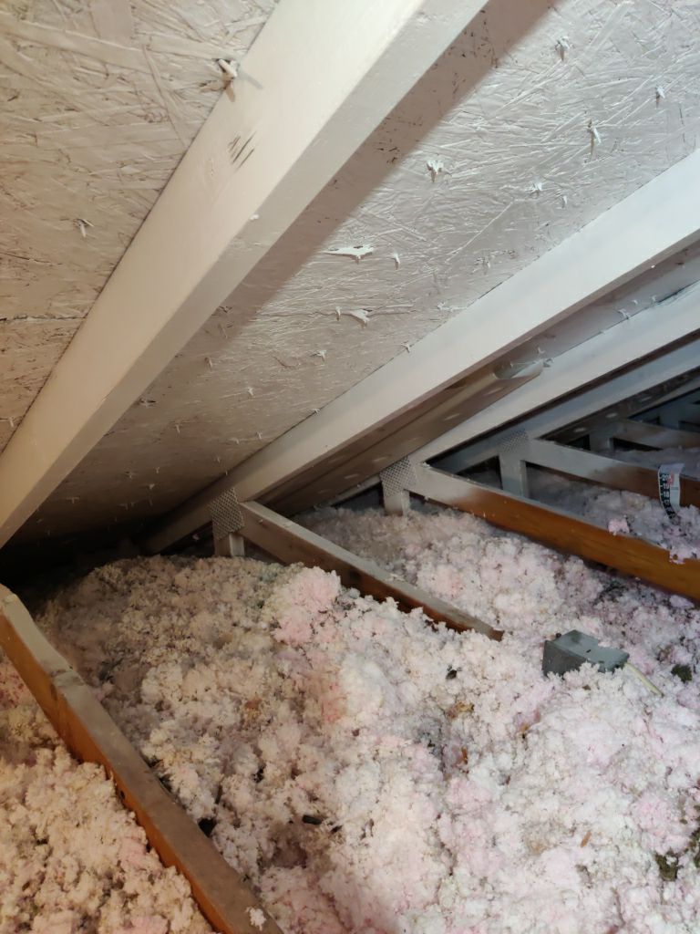 Mold Remediation in Attic by Accountable Home Services