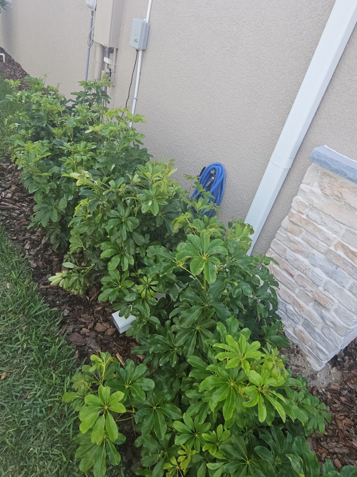 6 Inch Seamless Gutters using 6 Inch Seamless Gutters in Lakewood Ranch FL by Gutter Professors