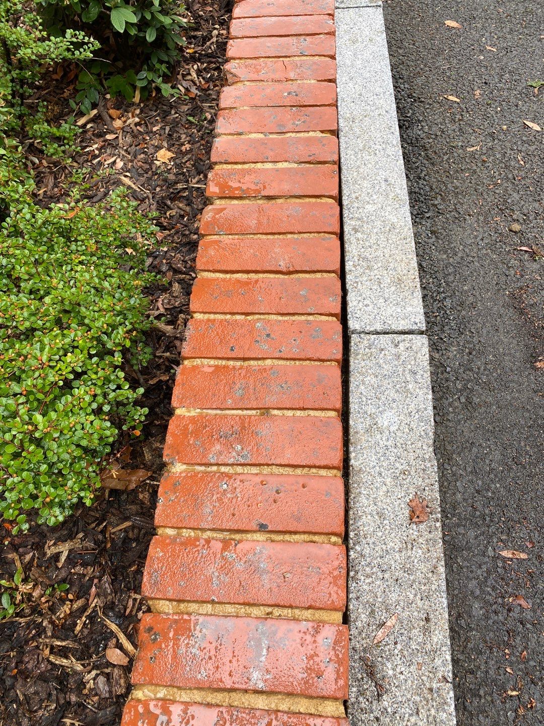 Exterior Cleaning using Honda 15lpm Low Pressure Washing Machine by Ges Exterior Cleaning ltd