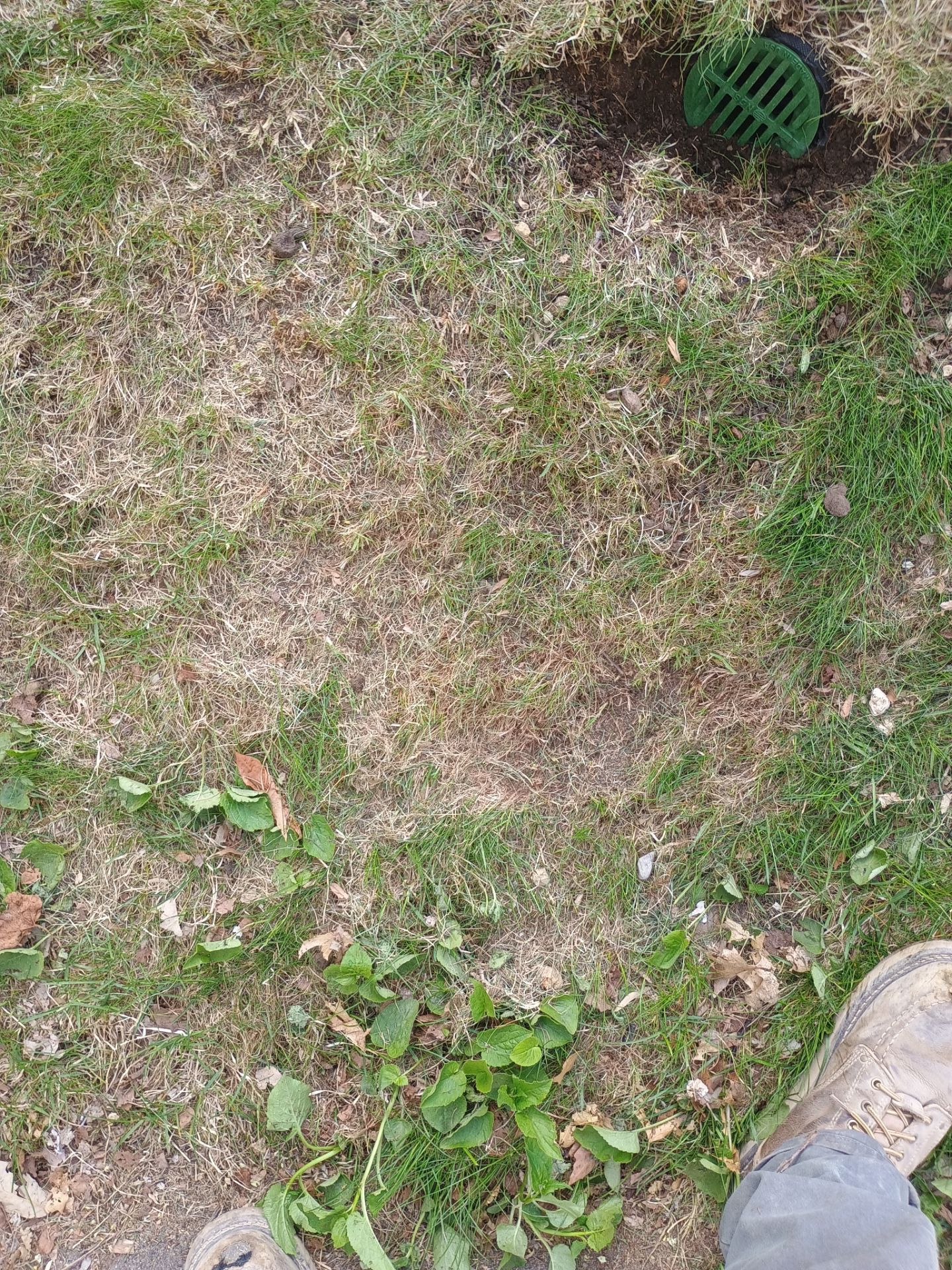 Foundation Drainage Board & French Drain in Southwest Minneapolis by Waterproofing Northeast