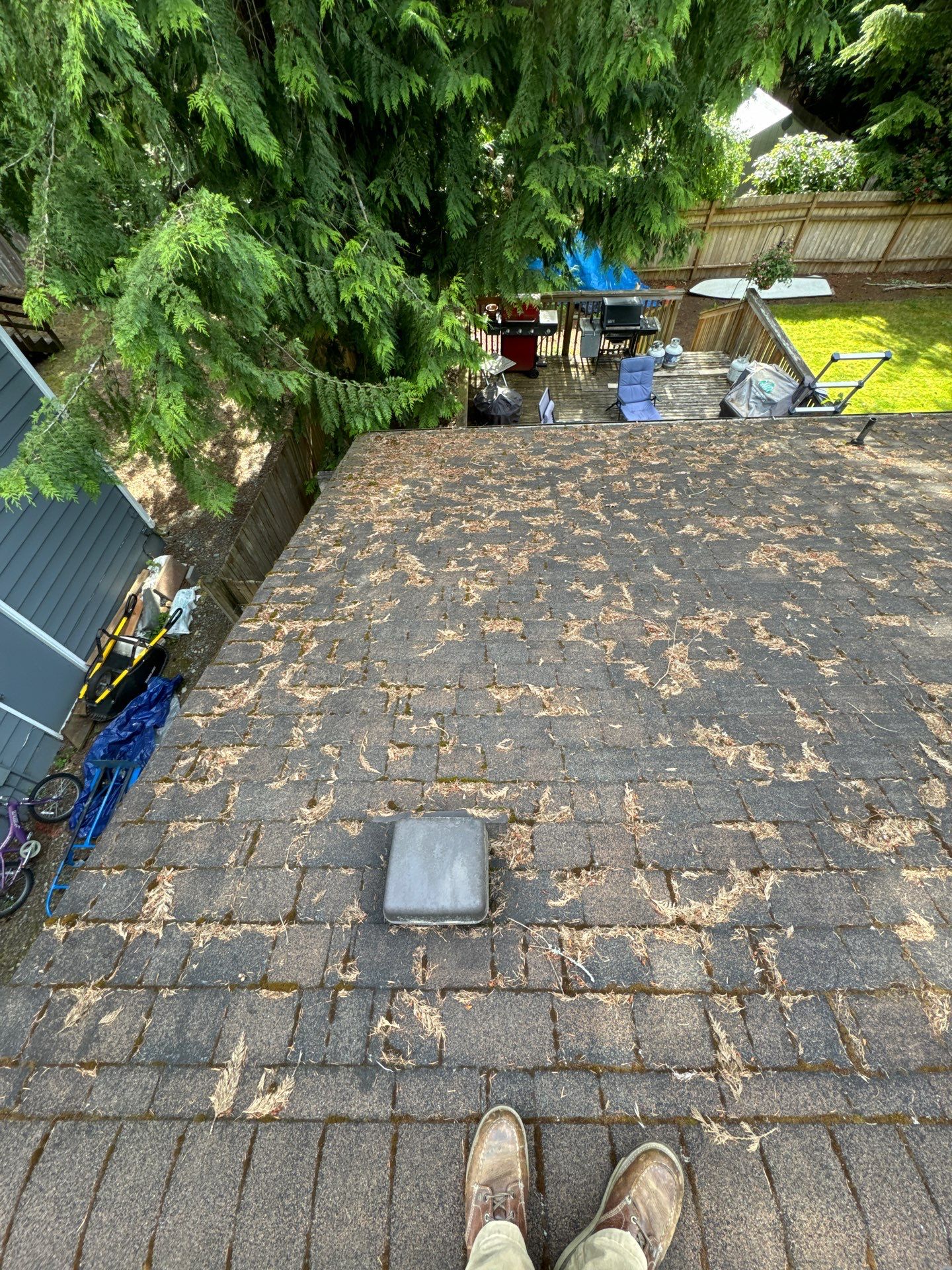 Project in Edmonds by Peaks and Valleys Construction