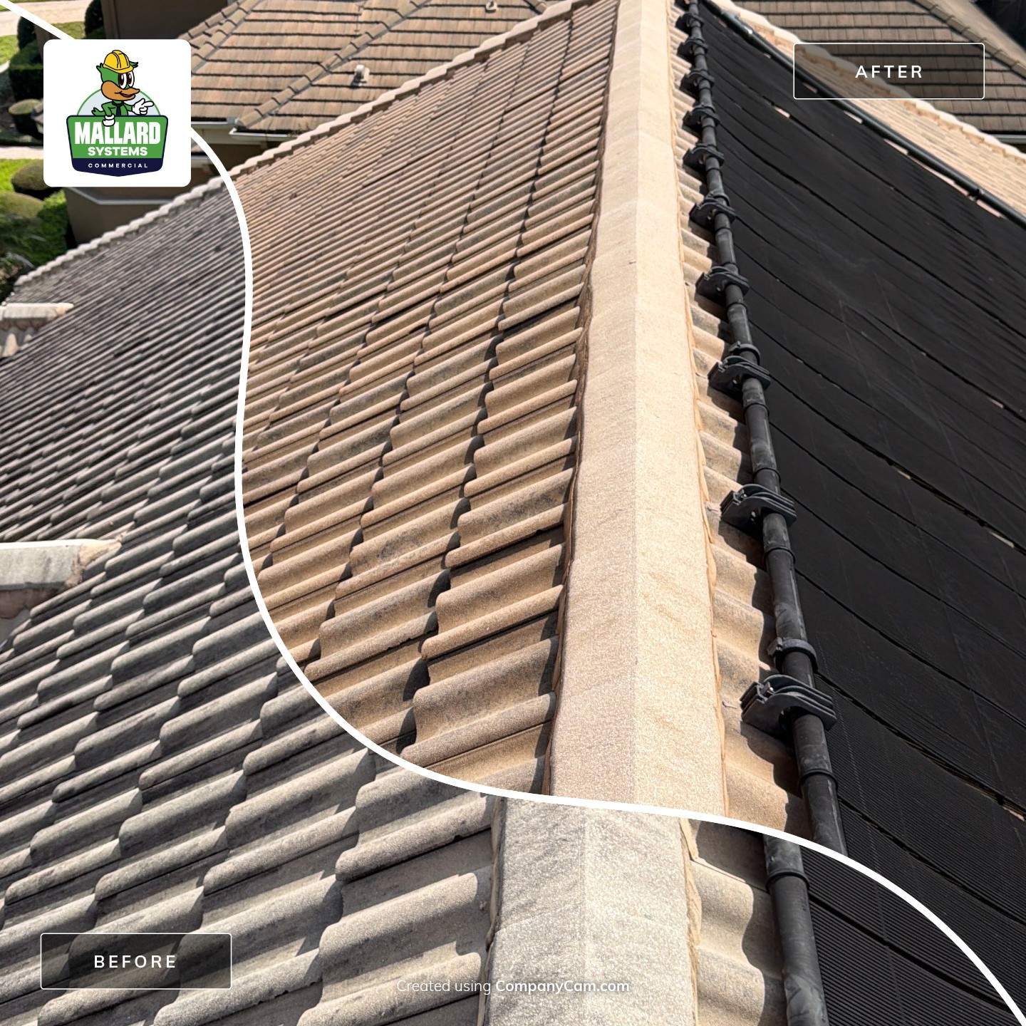 Residential Tile Roof Cleaning in Windermere by Mallard Systems