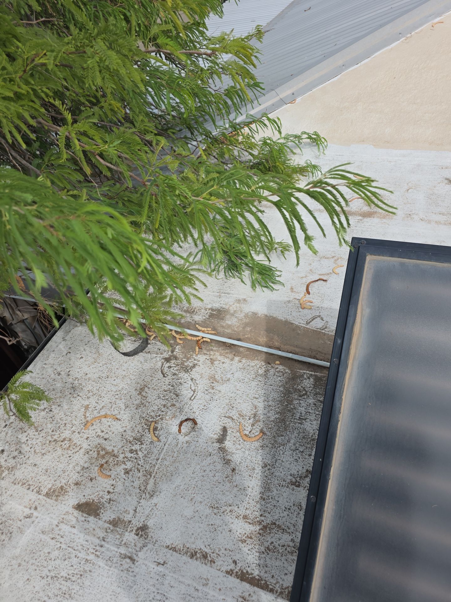 Residential Roof Install using GAF by Weather-Tite Roofing