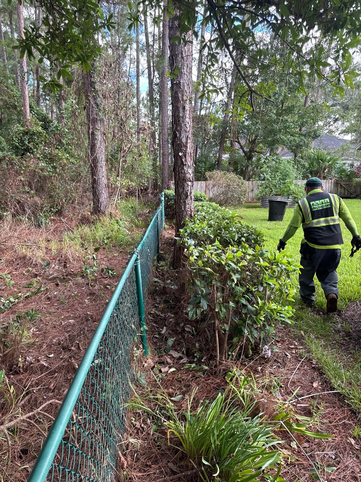 Residential | Shrub Trimming by ProGreen Services