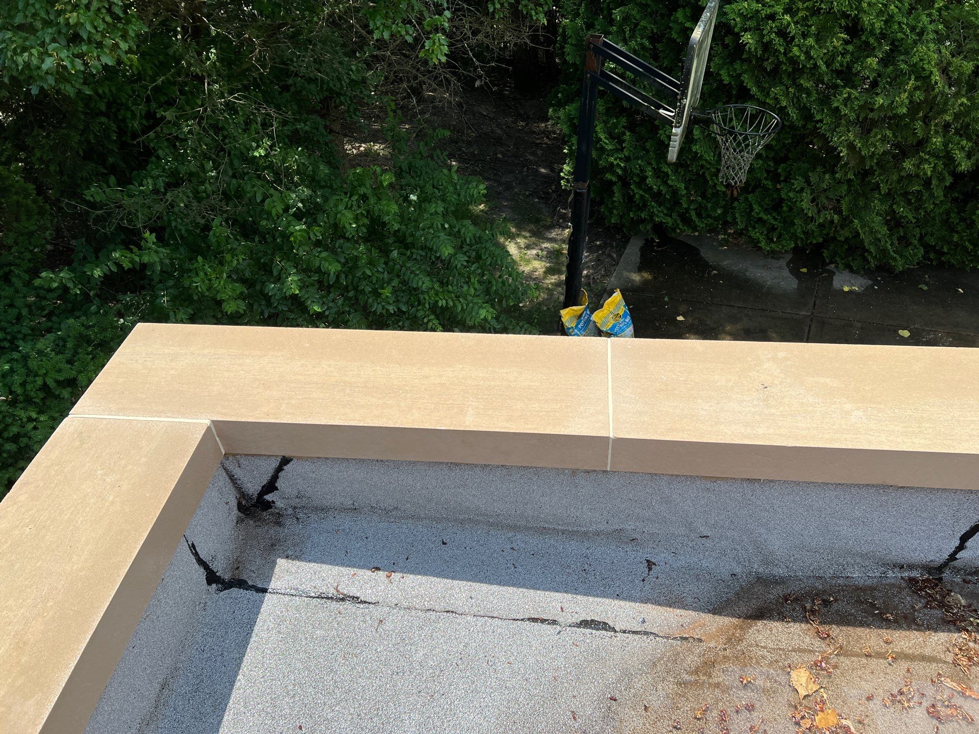 concrete cleaning using Algaecide, soft wash soap by Northern Power Washing LLC.