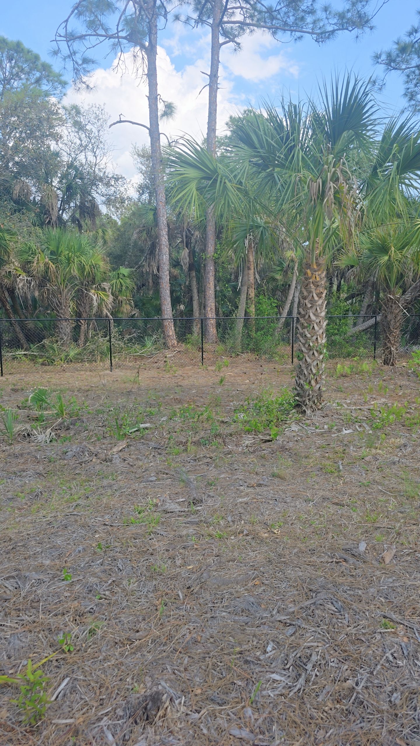 Chain Link Install in North Port by True Fence LLC