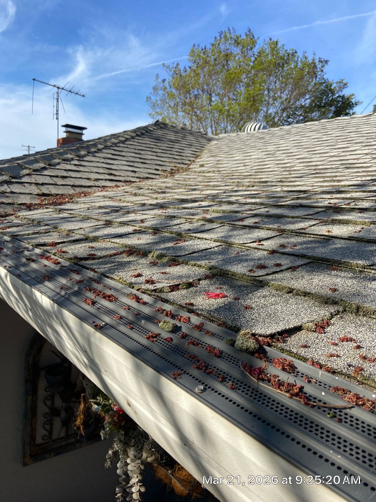 Roof Rejuvenation using Roof Maxx Treatment by Roof Maxx of Folsom