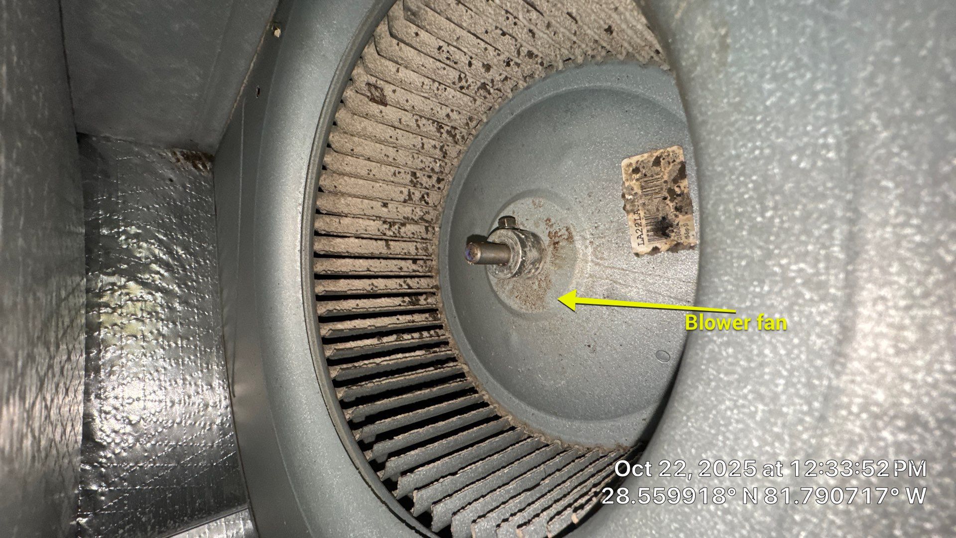 Air Duct, Dryer Vent, Bathroom Exhaust Cleaning in Groveland by Hygienic Air, Inc