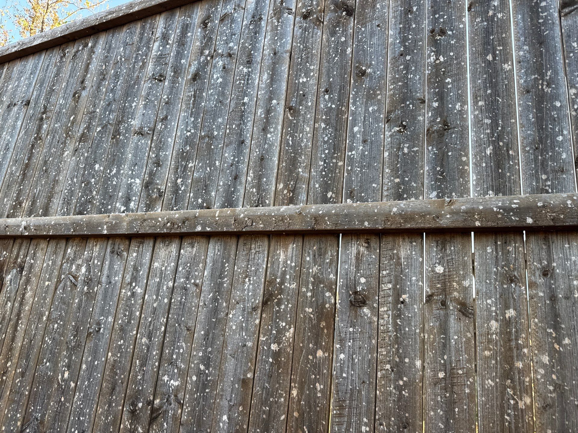 October 2025 hail storm Anna, Texas by NIMBUS GENERAL CONTRACTORS, LLC